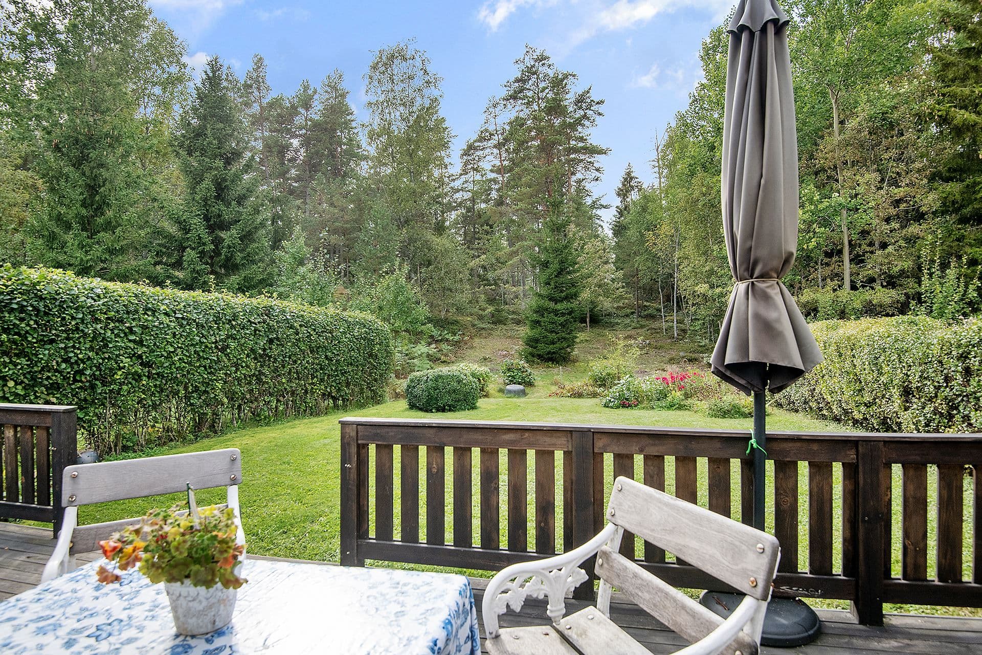 Gränsande mot skogsdunge