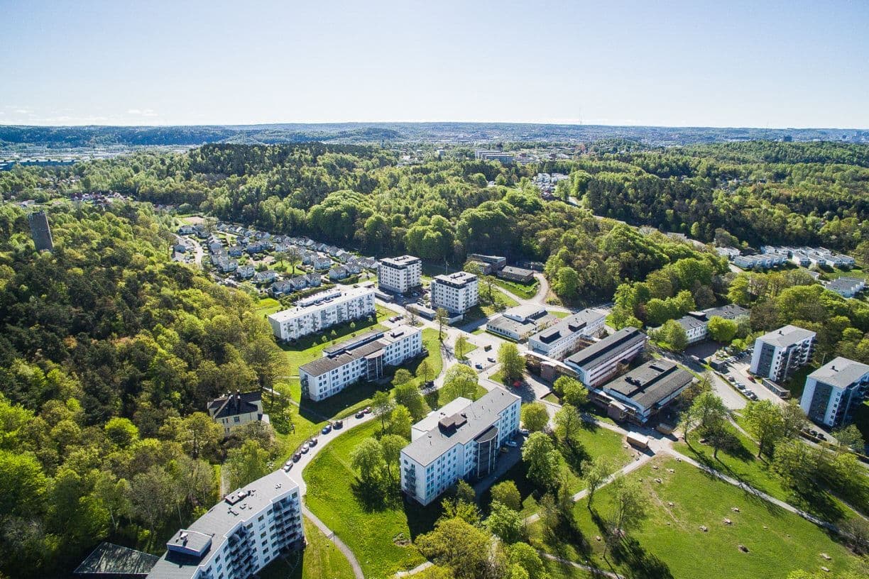 Vy över området