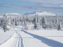 Härjedalen