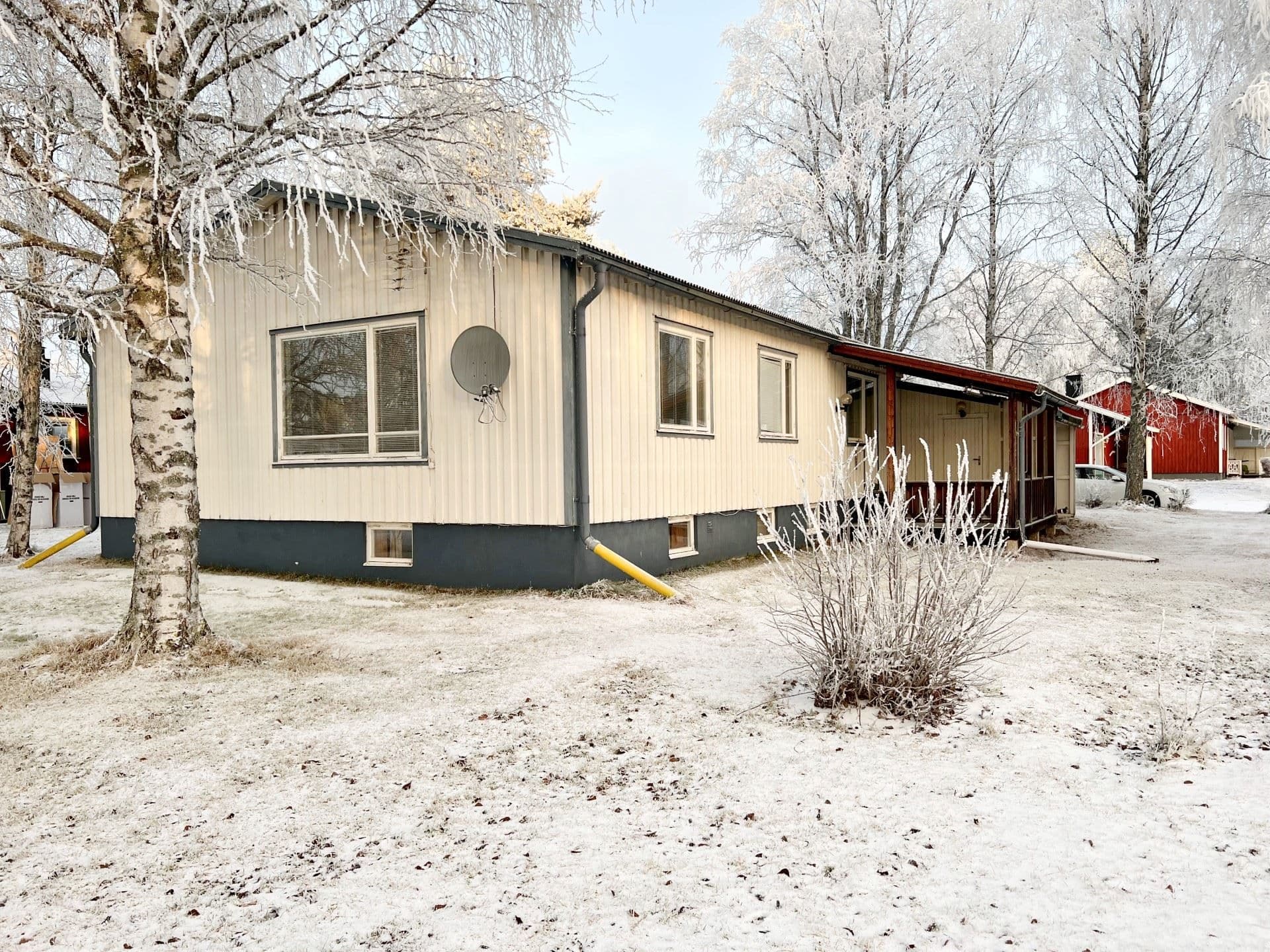 Exteriör