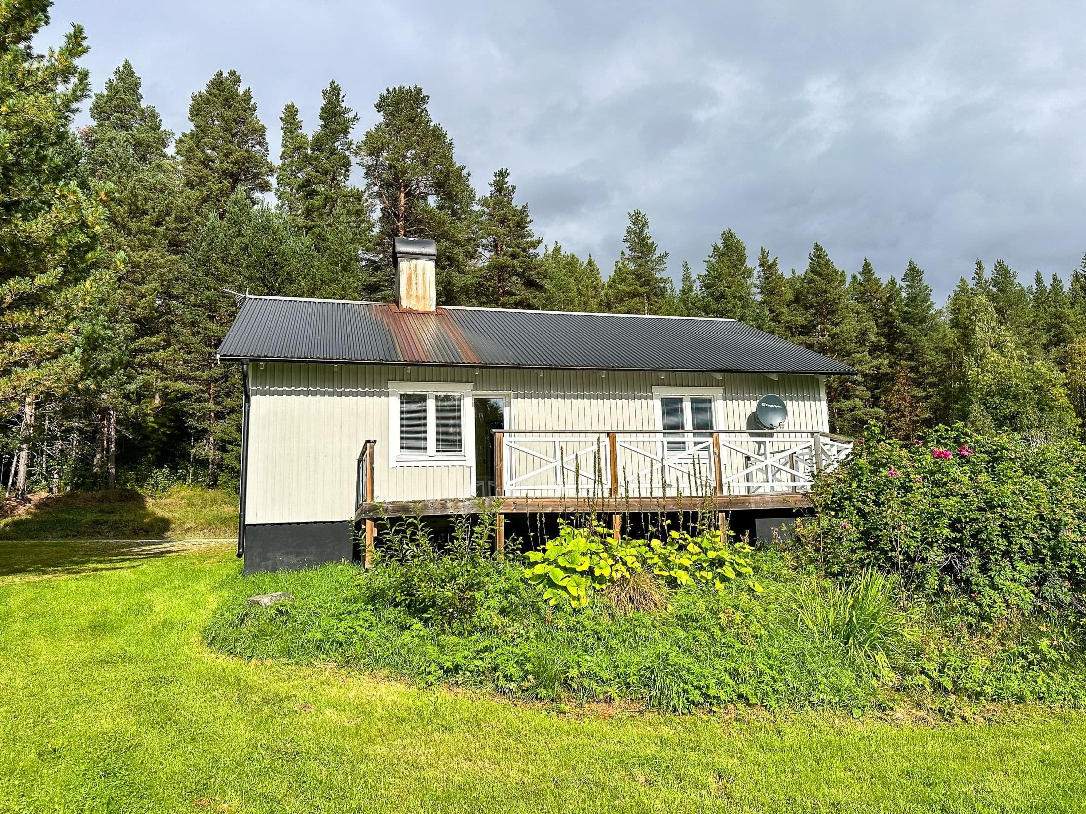 Exteriör