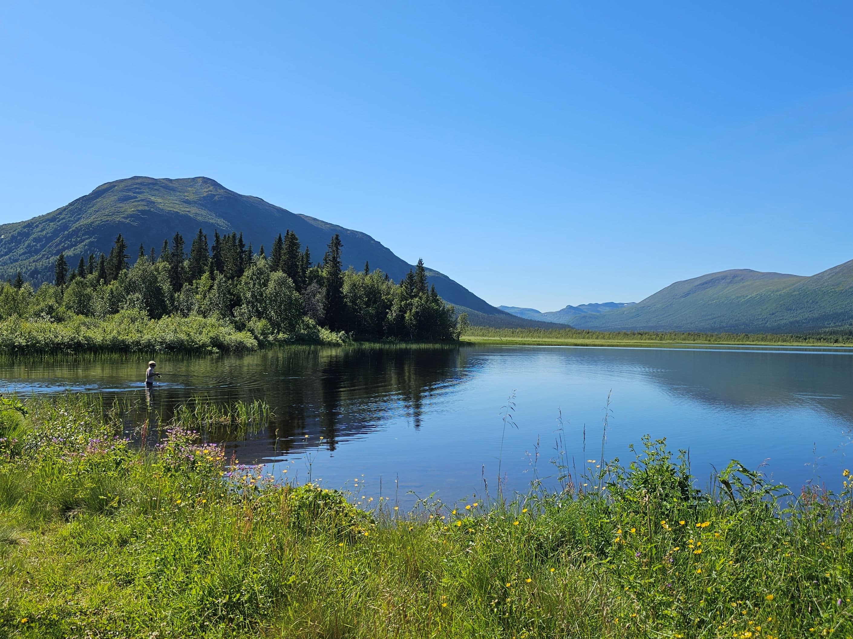 Säljarens bild