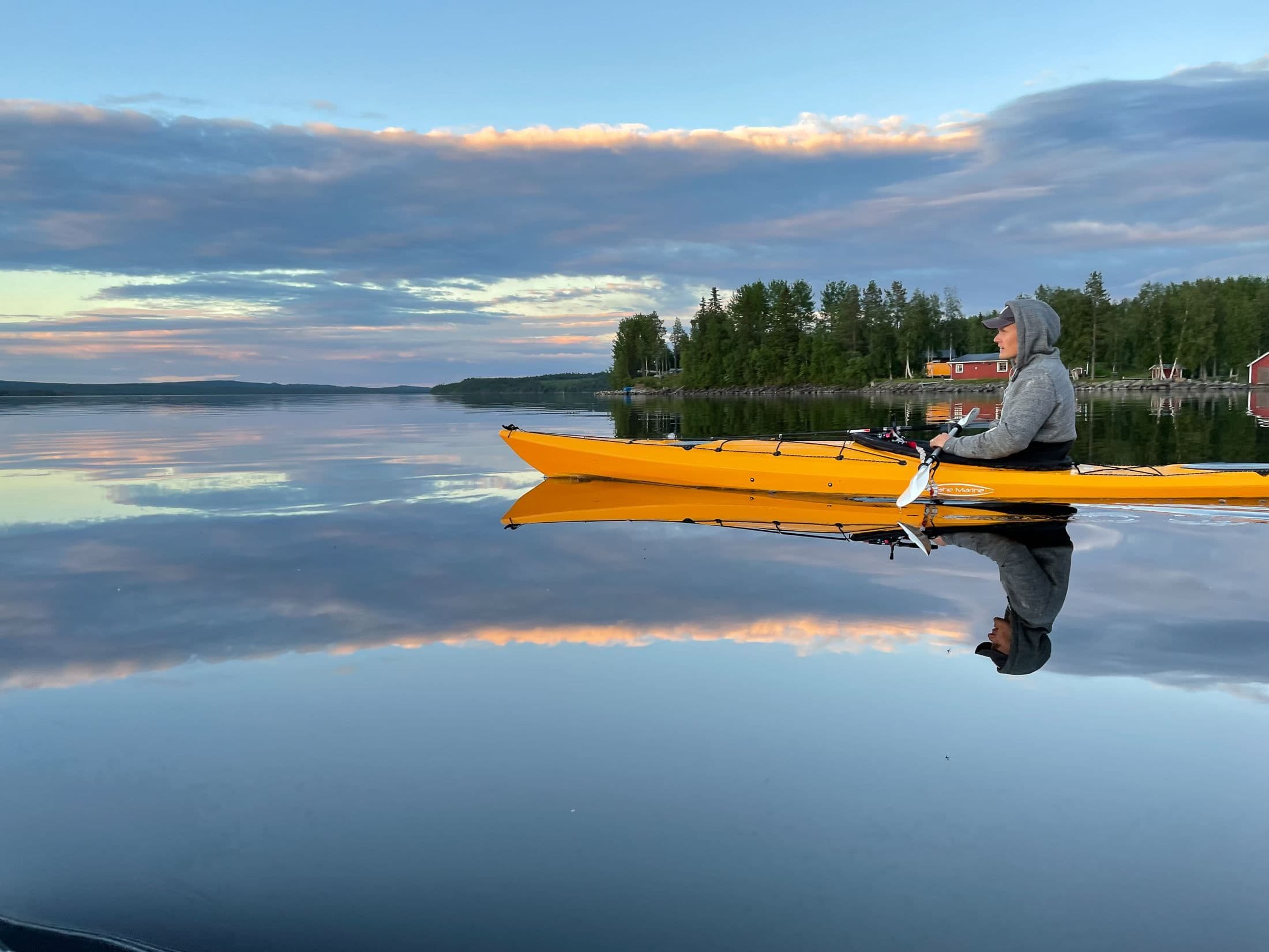 Säljarens bild