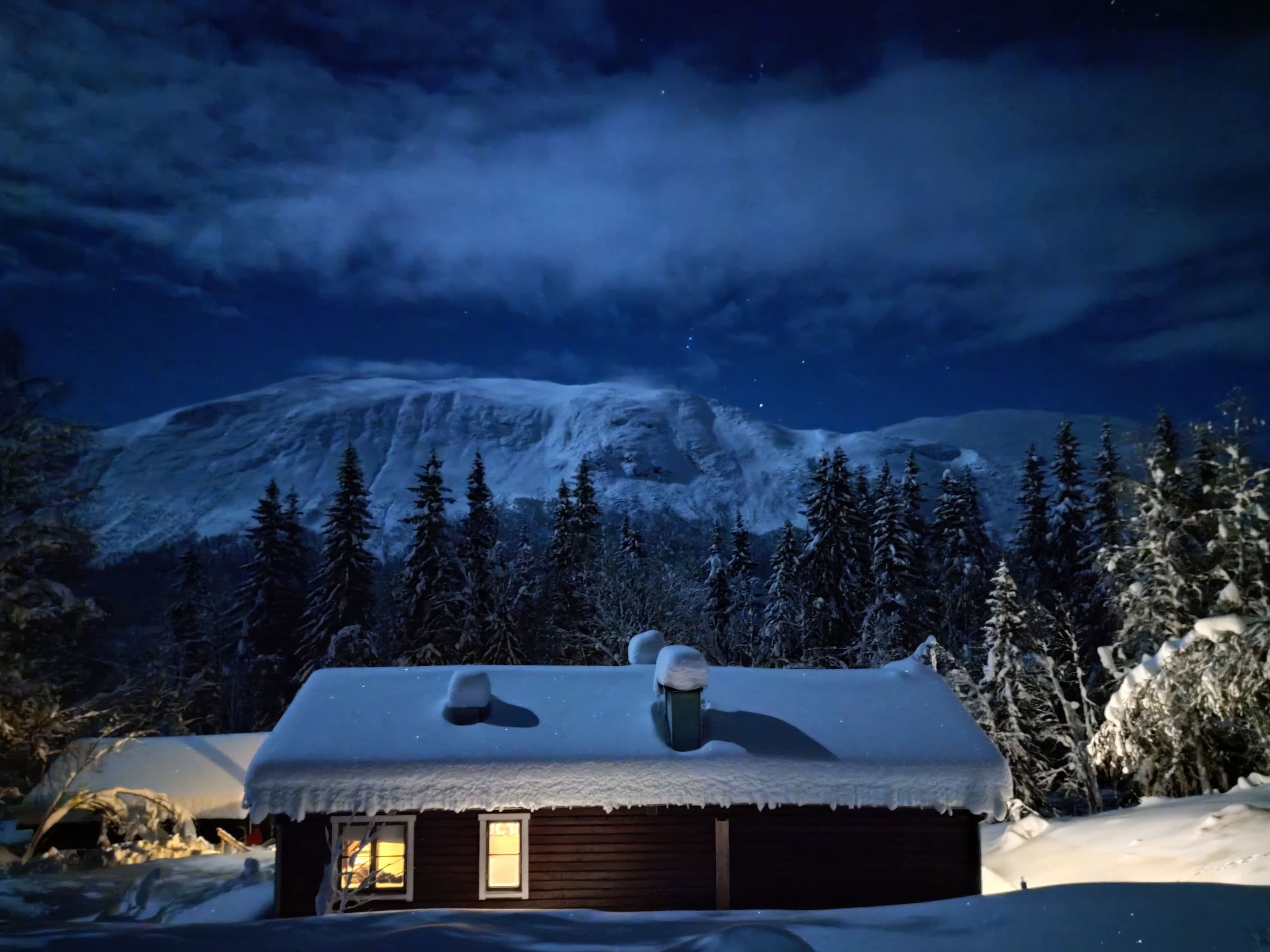 Säljarens bild