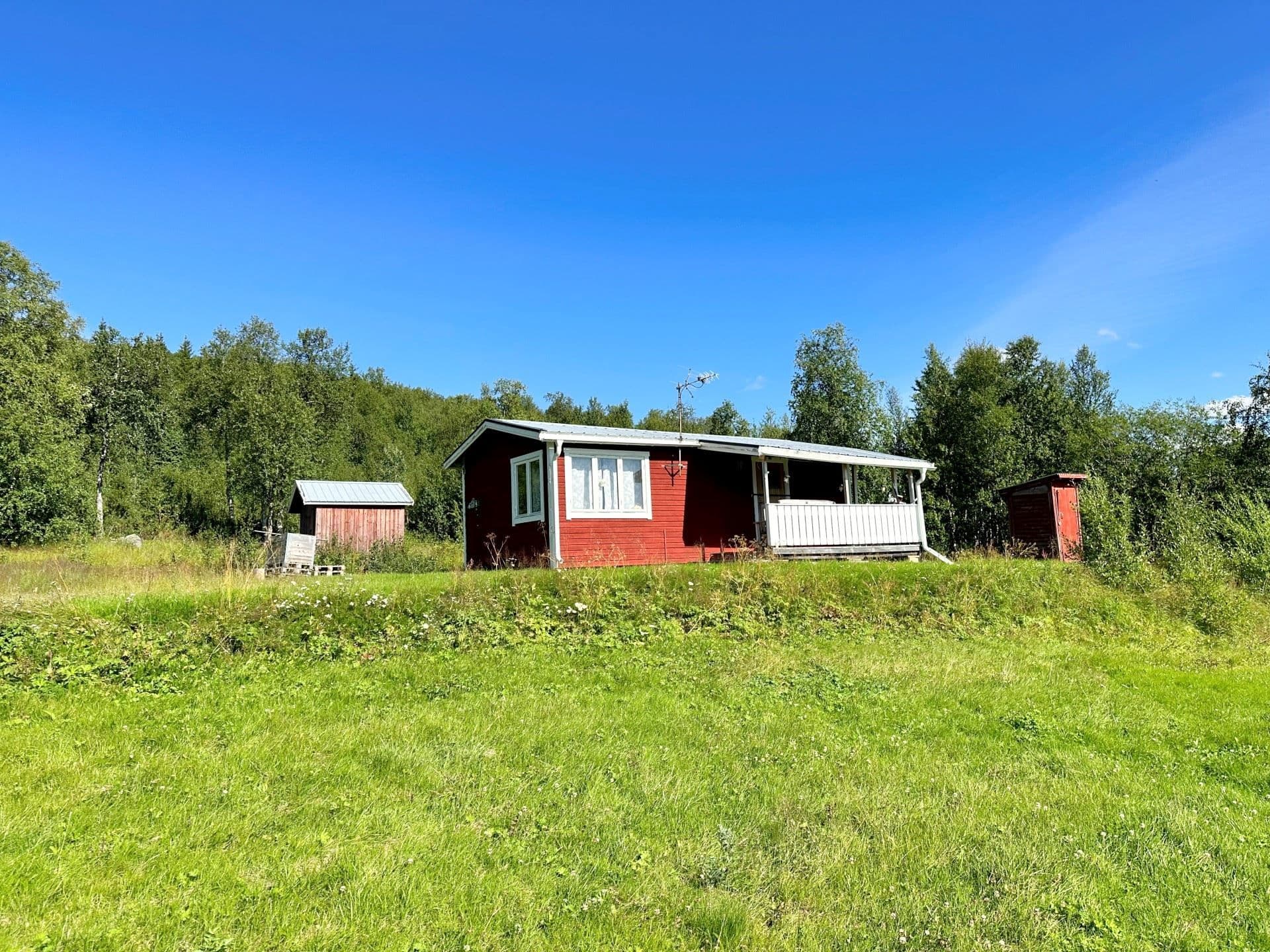 Exteriör