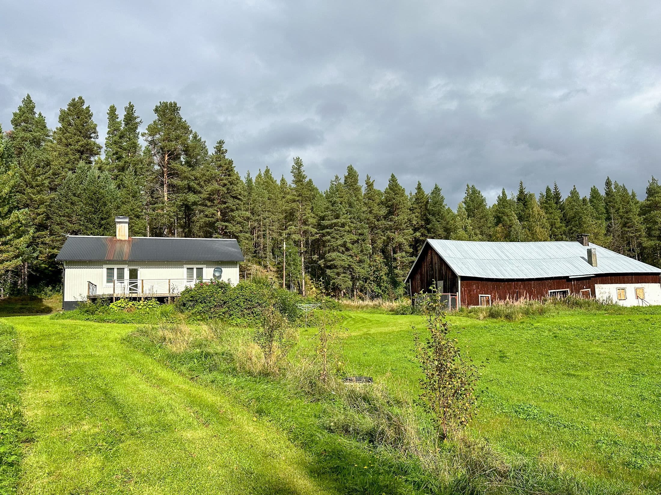 Exteriör