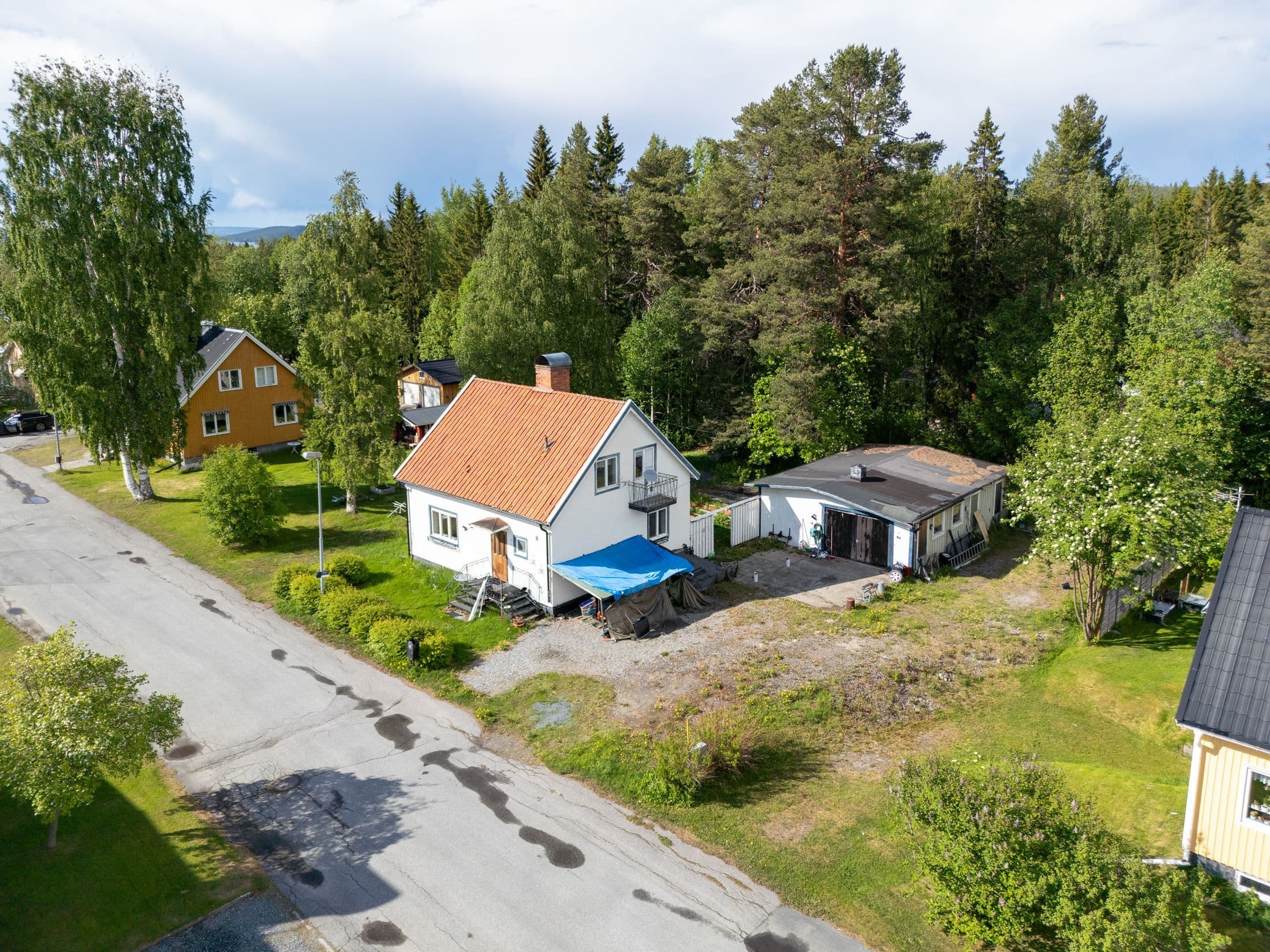 Exteriör