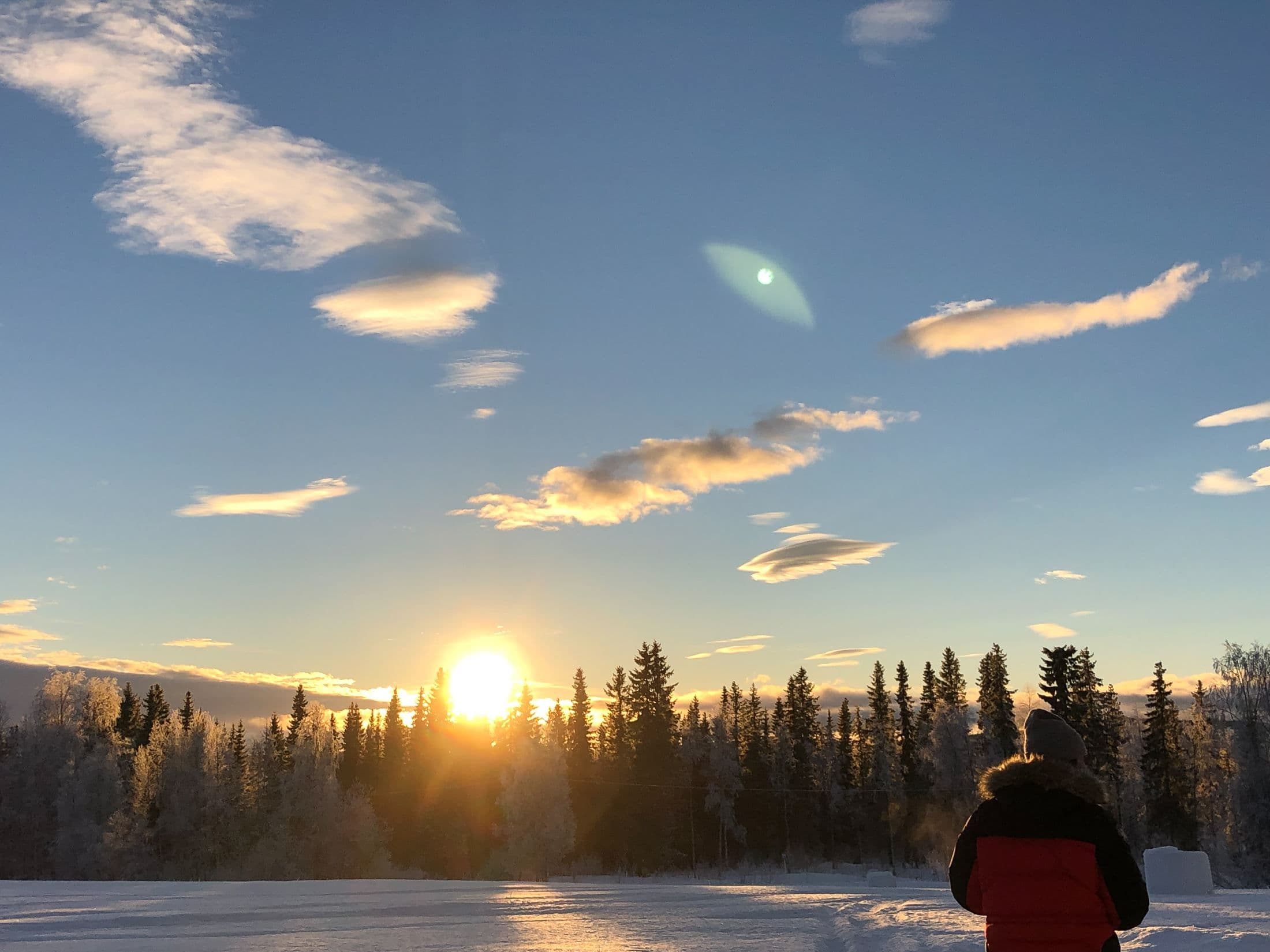 Säljarens bild