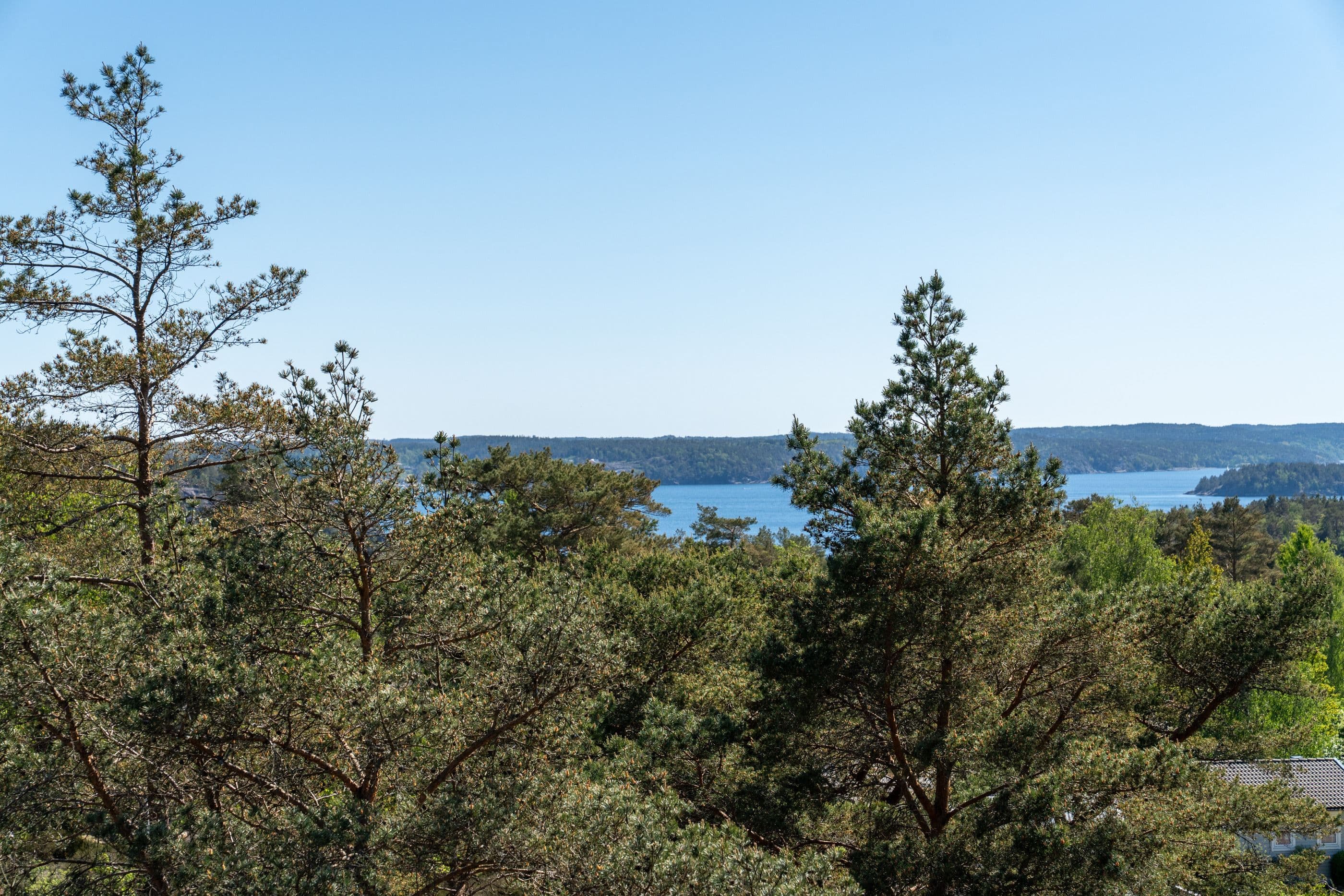 Områdesbild