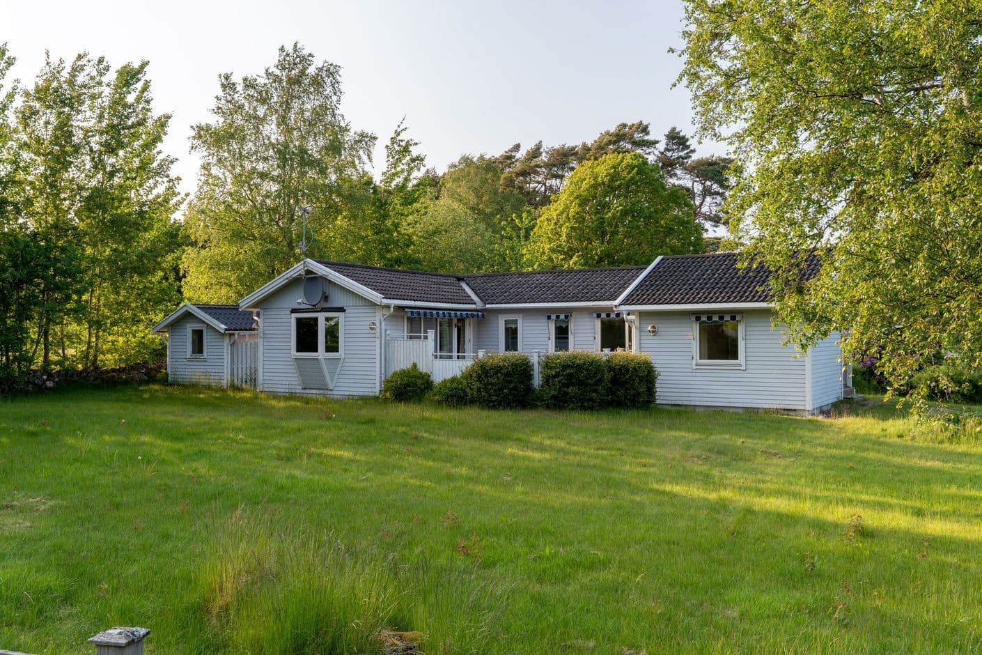 Kleva skog 111