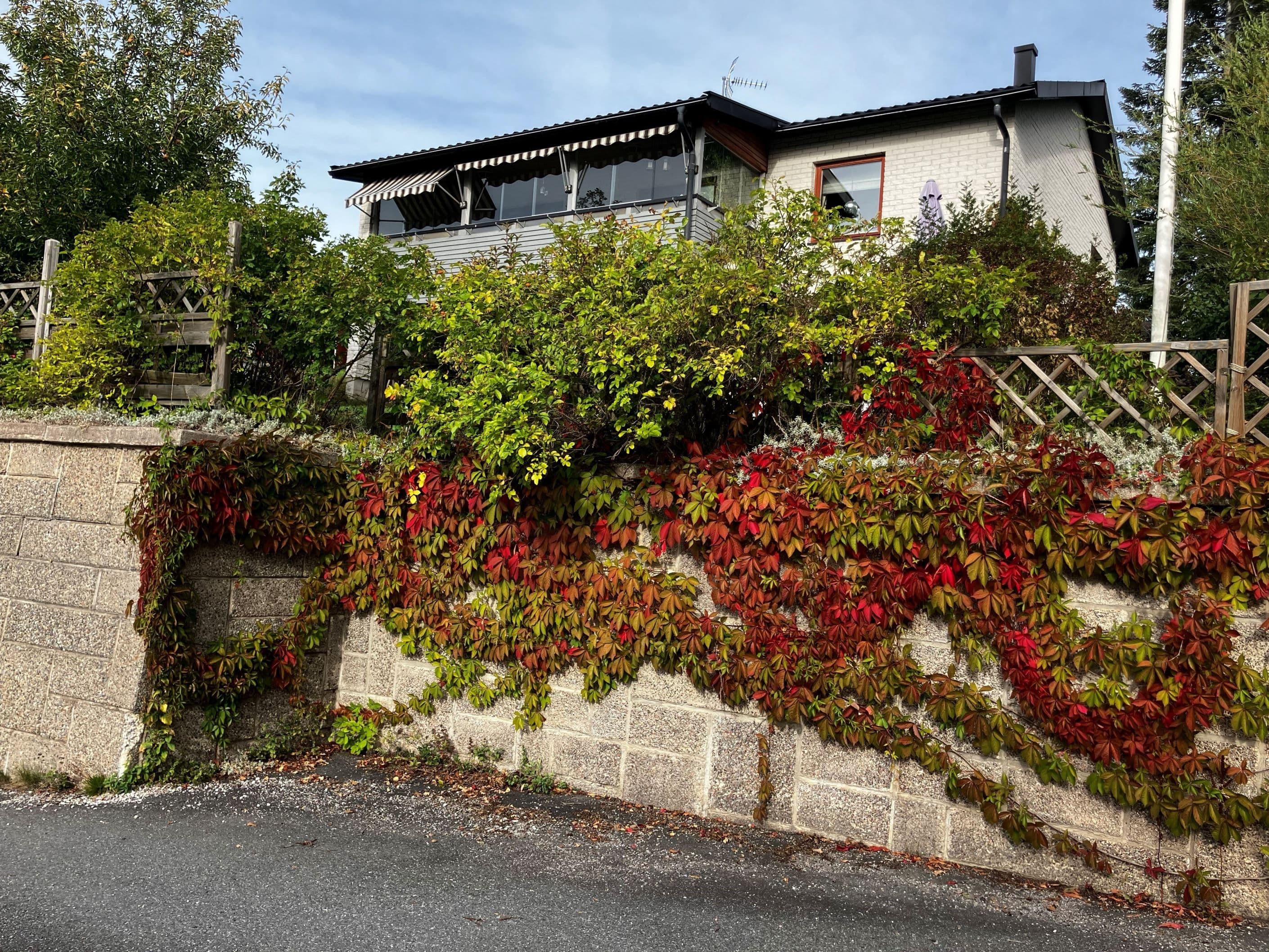 Välkommen till Solhemsbackarna 99