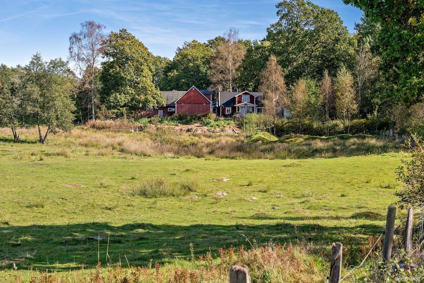 Skogen 1008