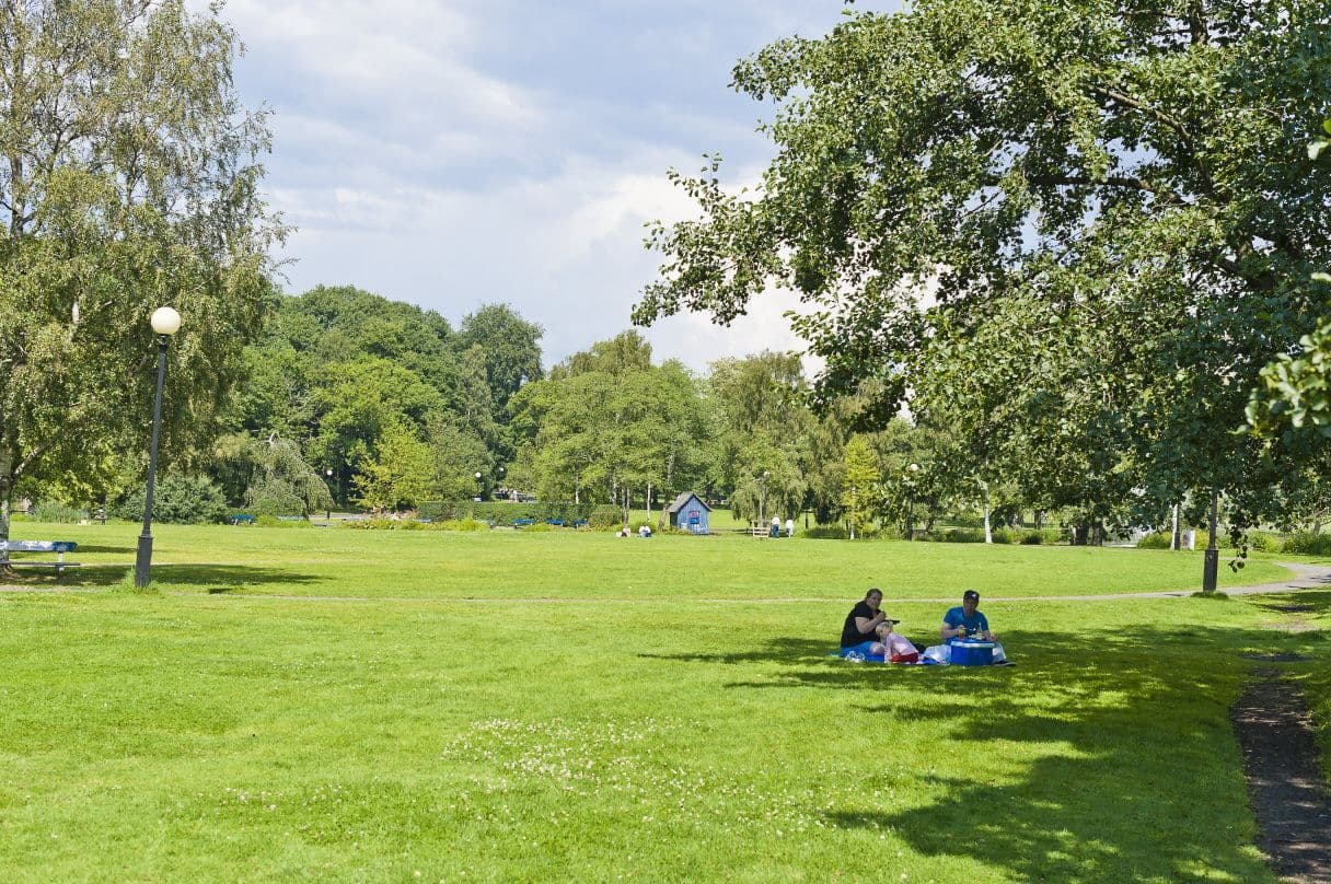 Fantastiska Slottsskogen precis runt hörnet