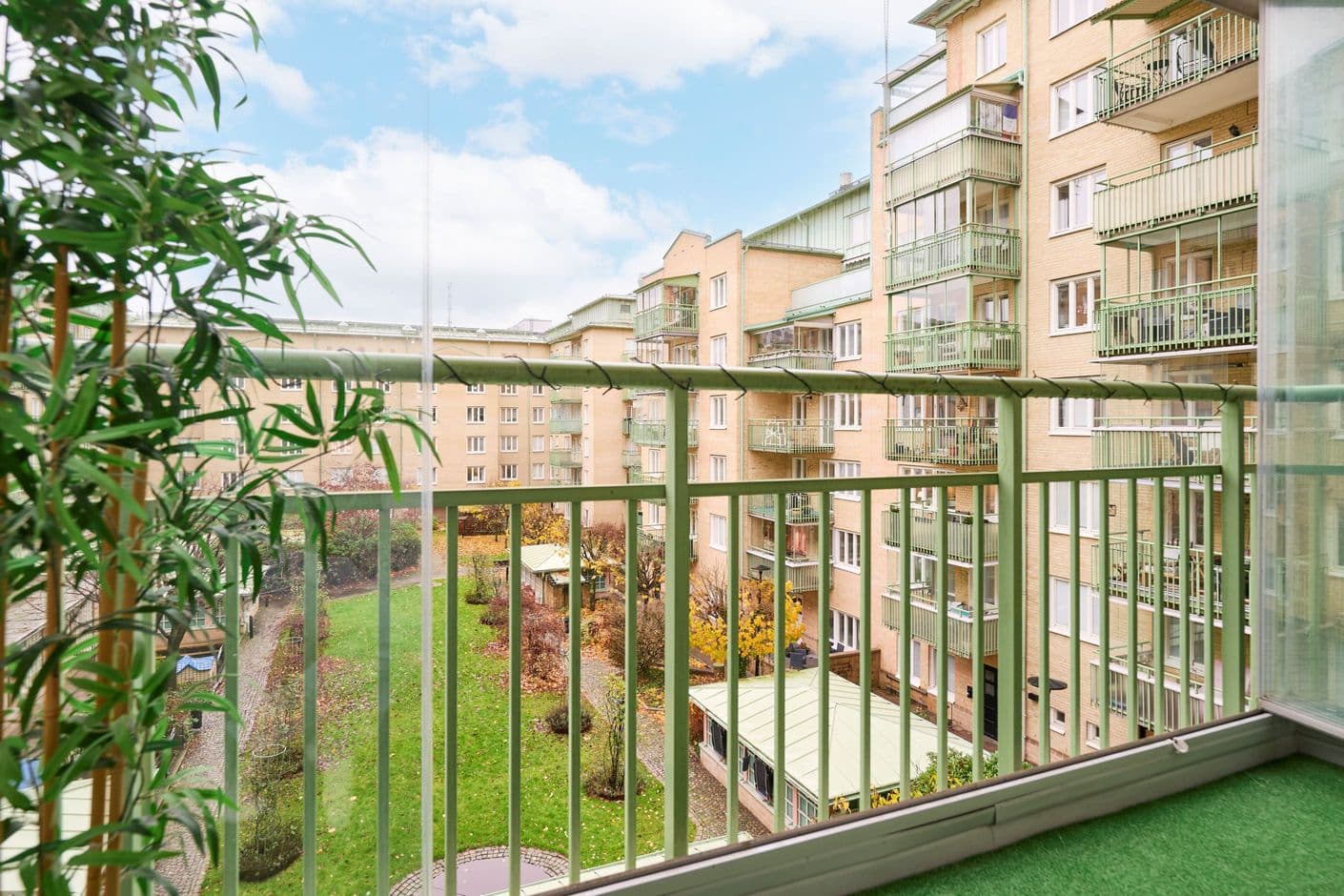 Adler salvius gata 15