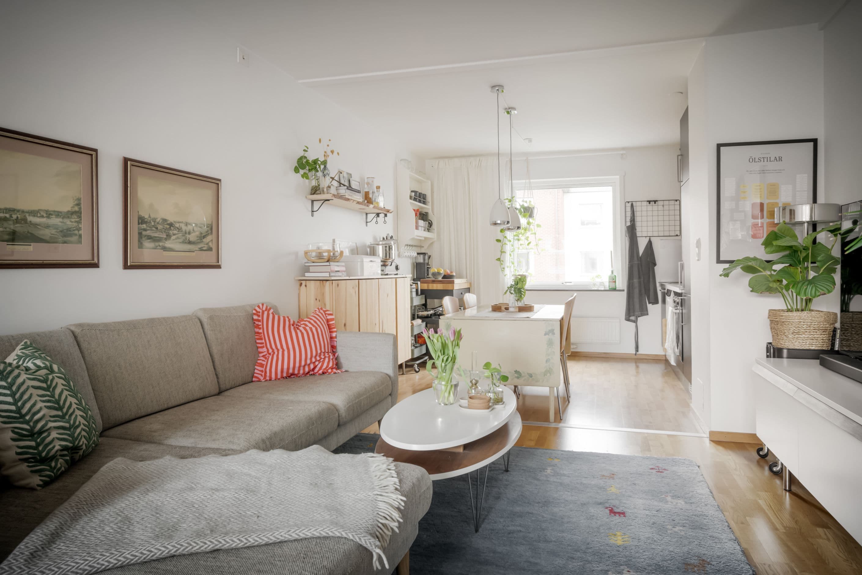 Genomgångslägenhet med härligt ljus