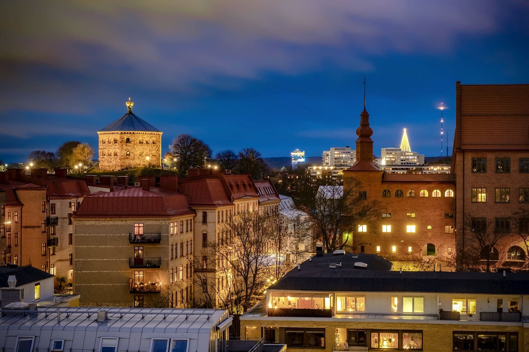 Utsikt över takåsar!