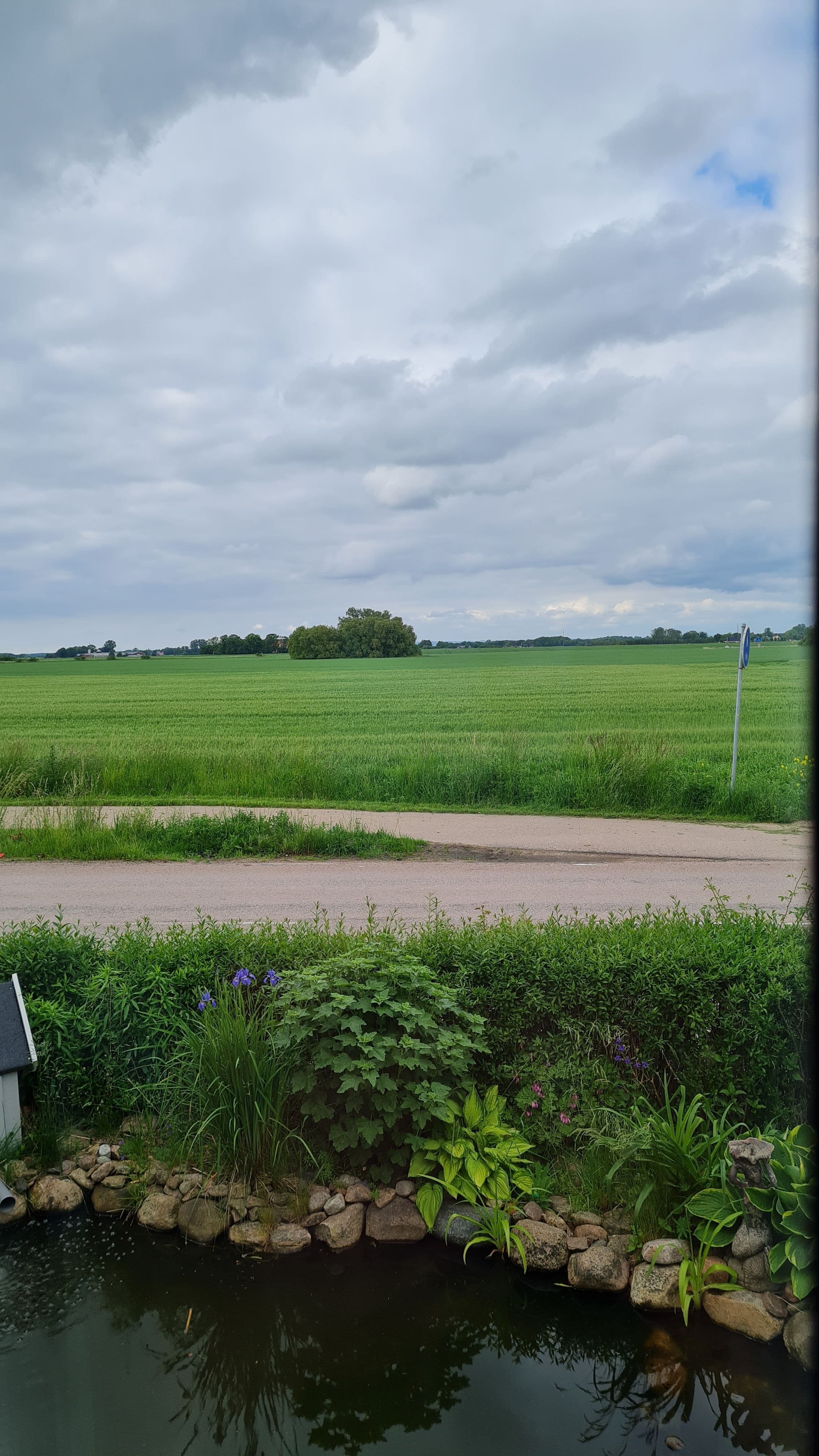 Vy från vardagsrummet