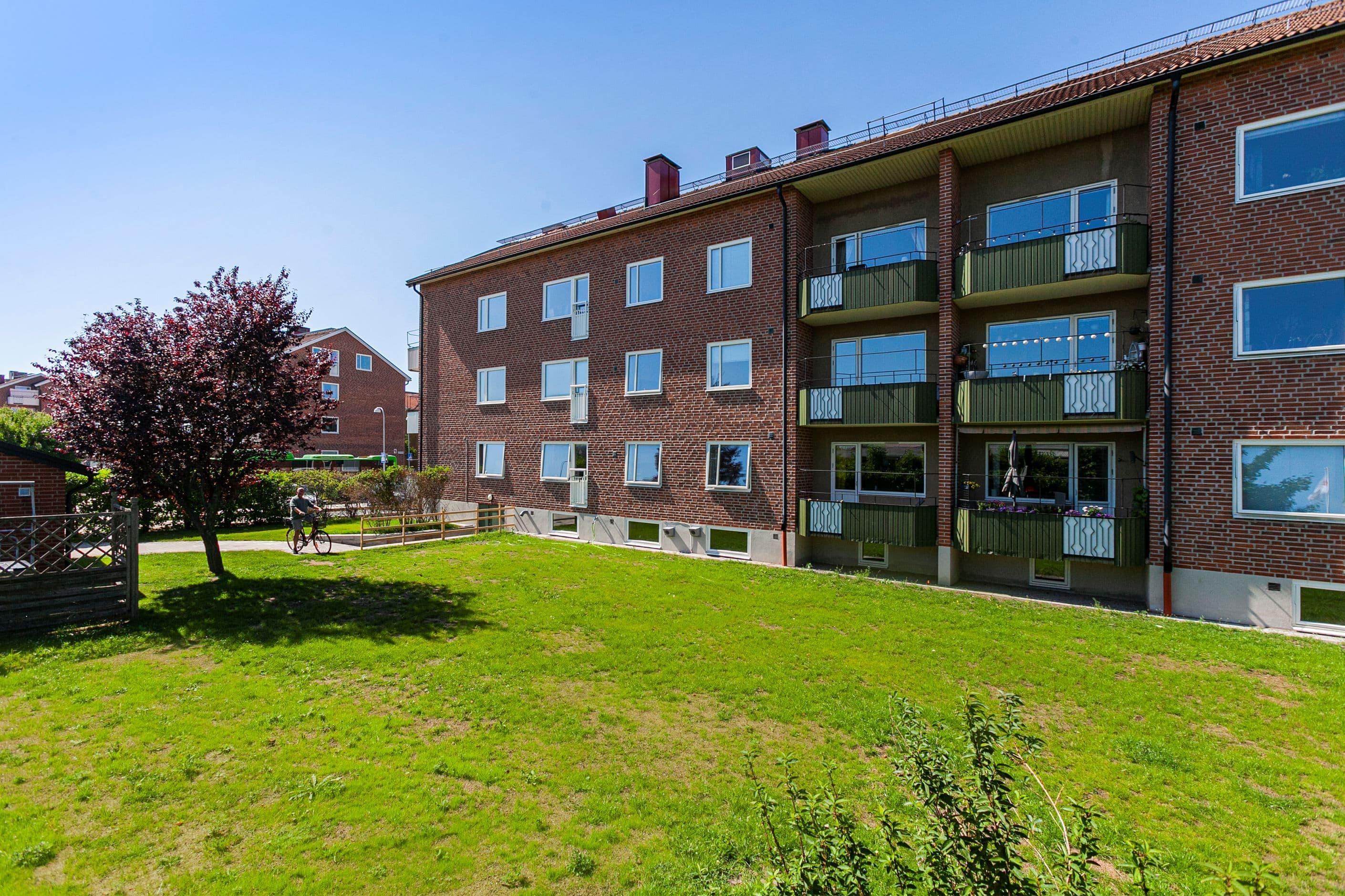 Exteriör