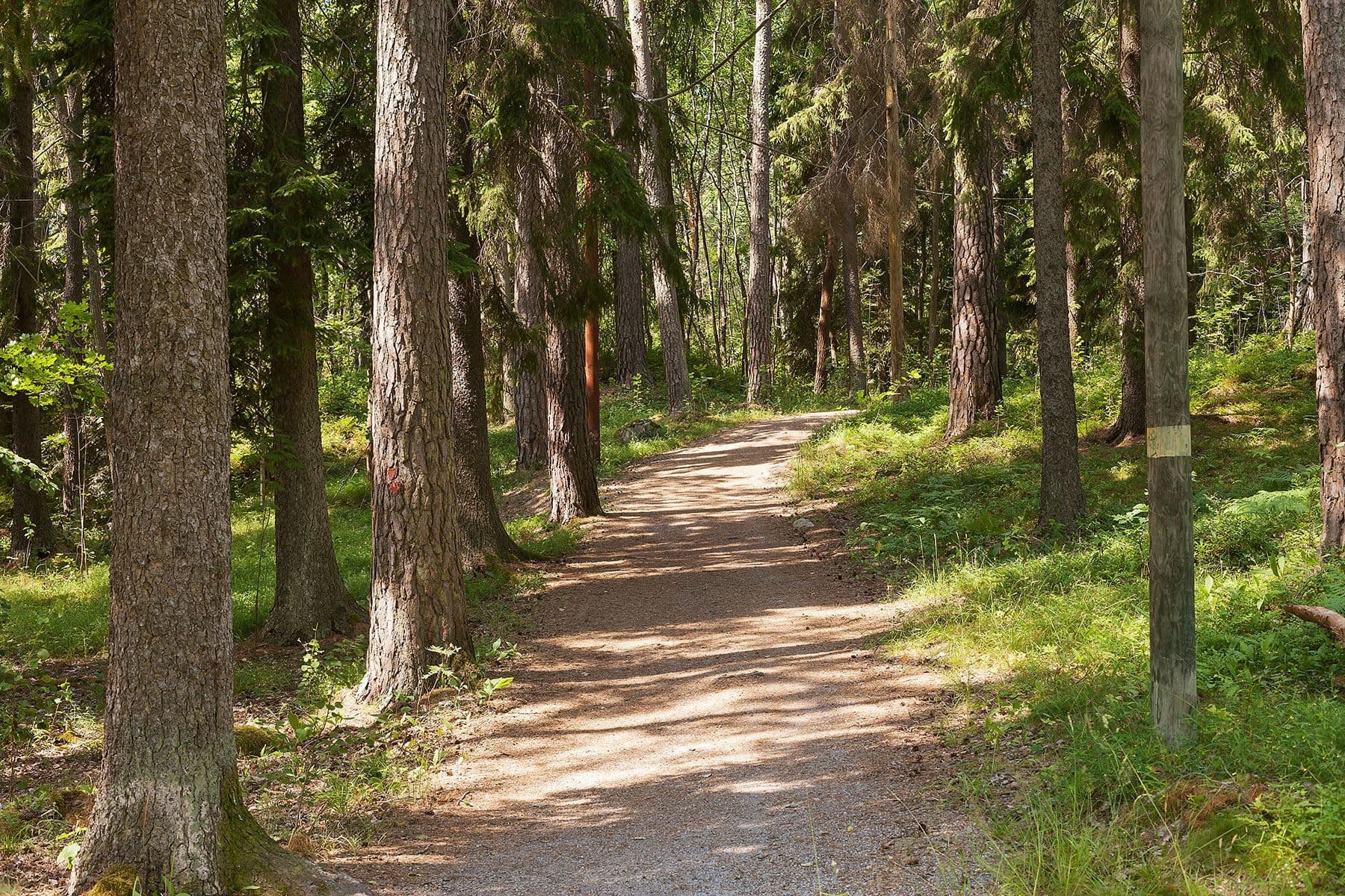 Nära till naturen och Judarns naturreservat
