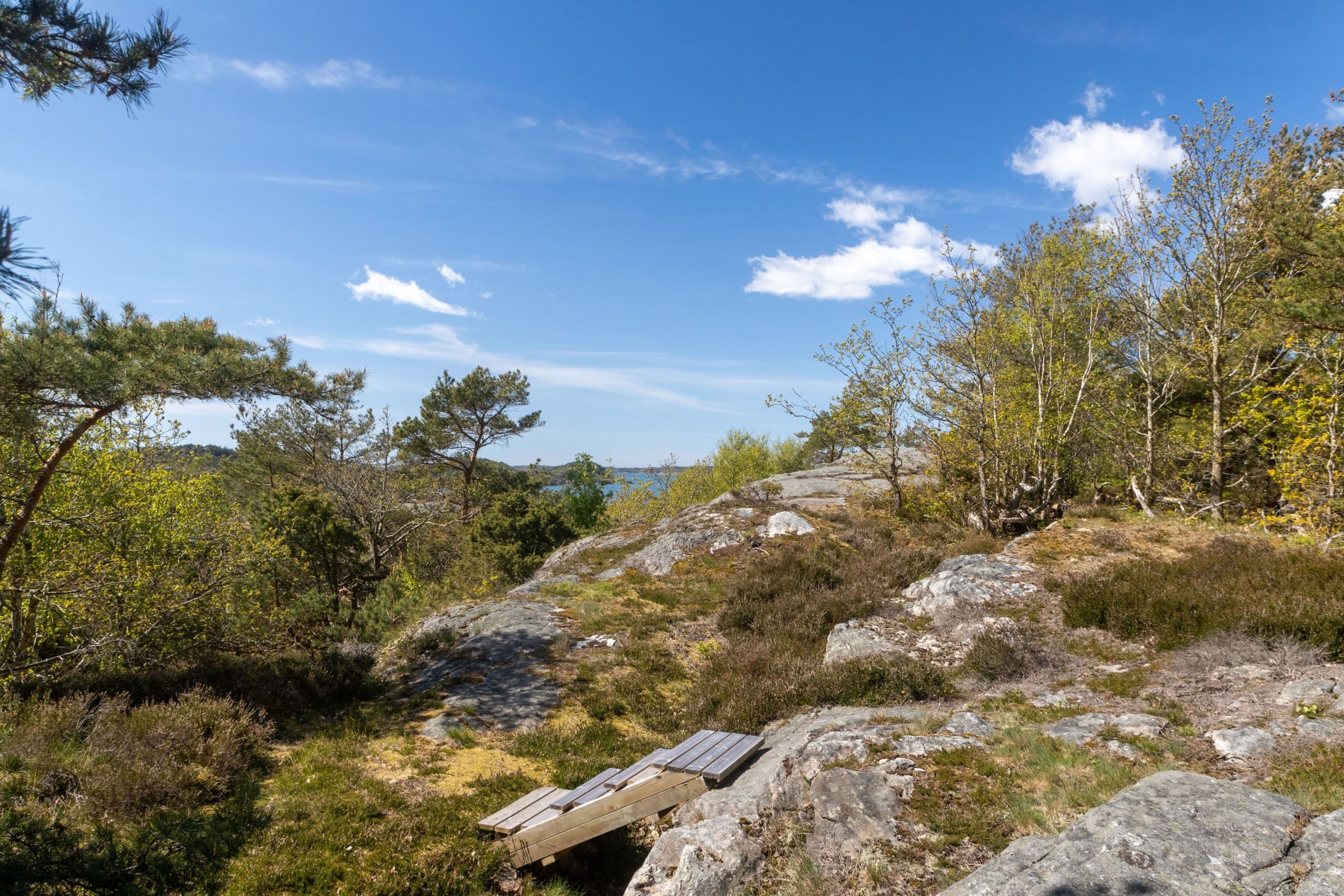 Områdesbild