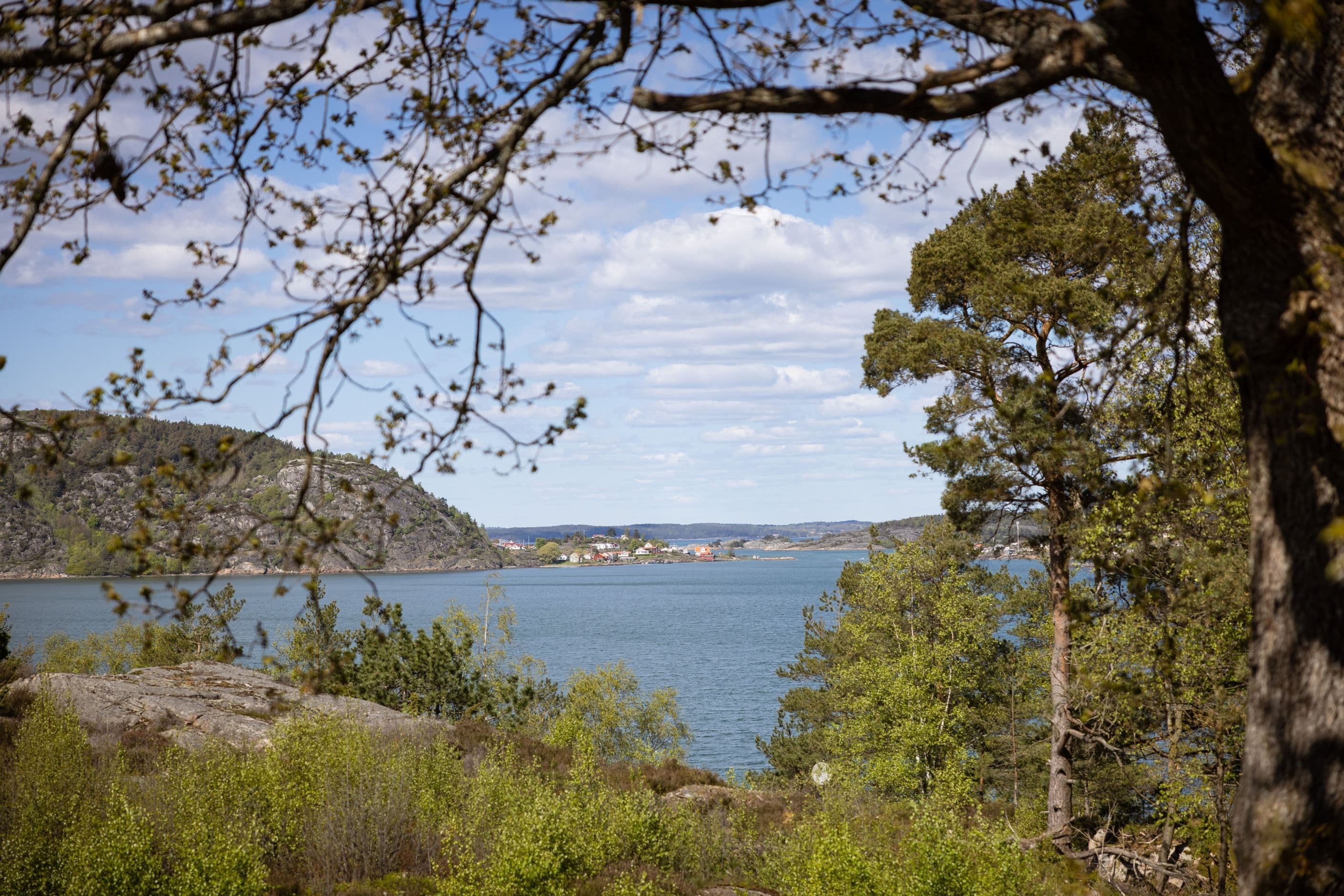 Områdesbild