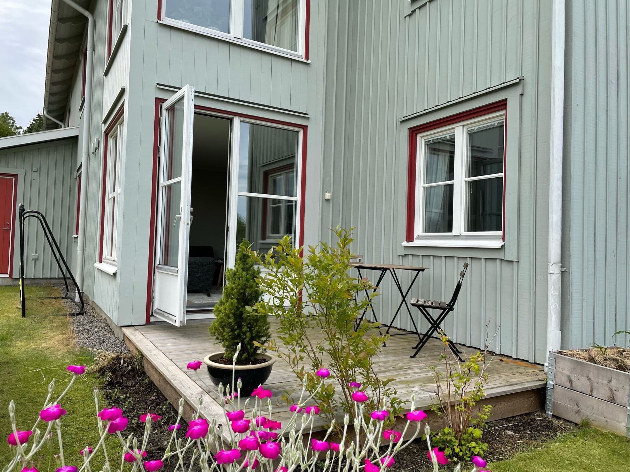 Vackra blommor sommartid. Säljarens bild.