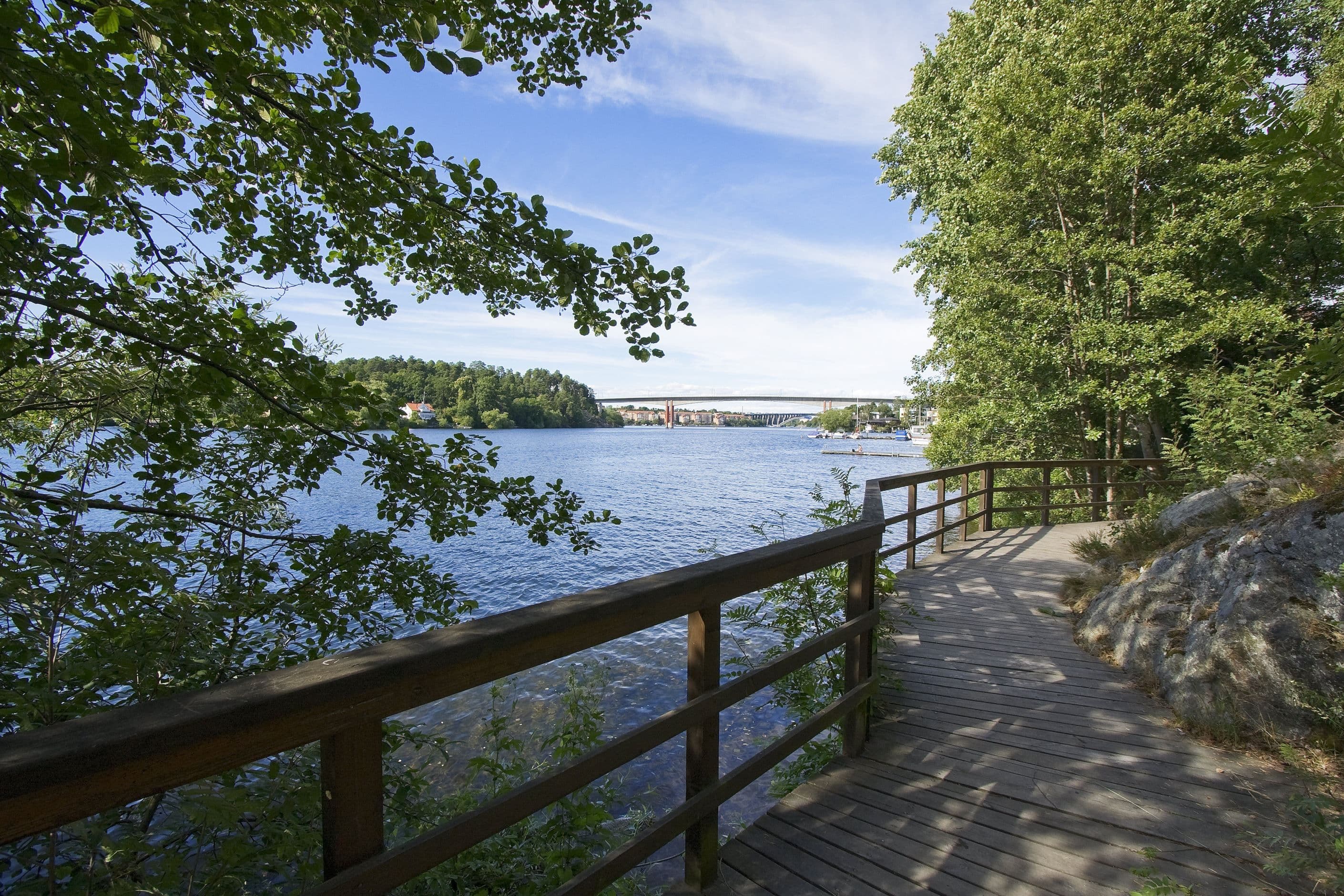 Promenadstråk