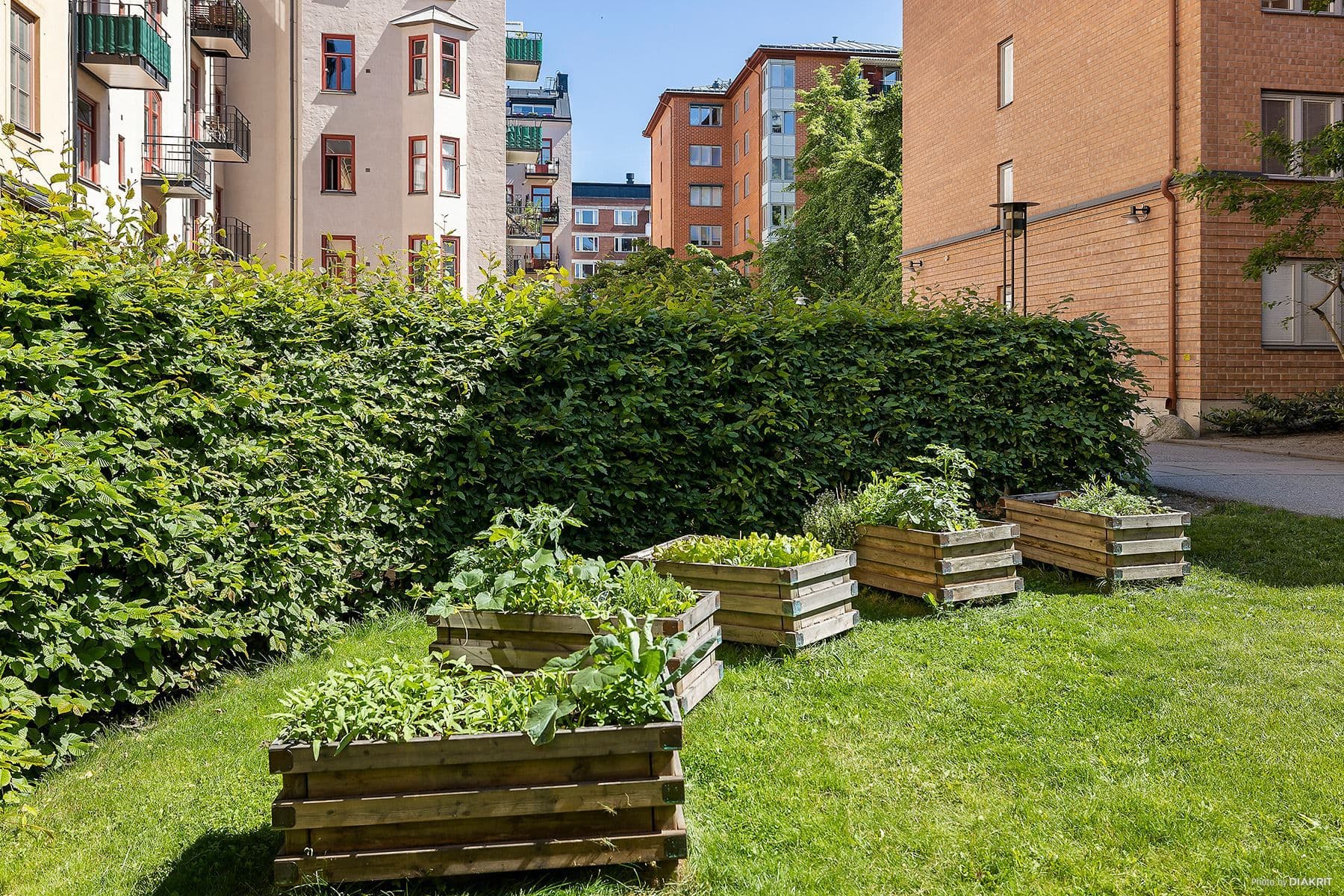 Odlingsmöjligheter på gården