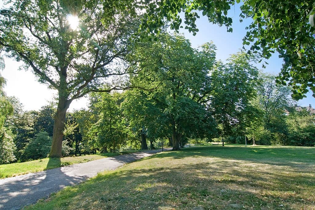 Kronobergsparken