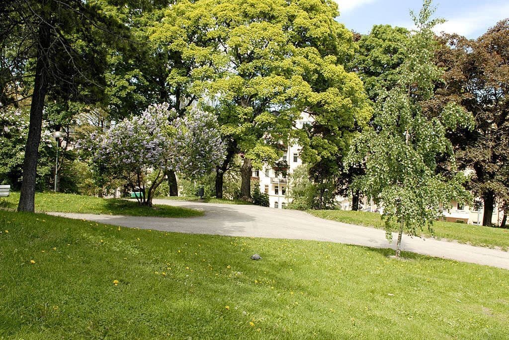 Kronobergsparken