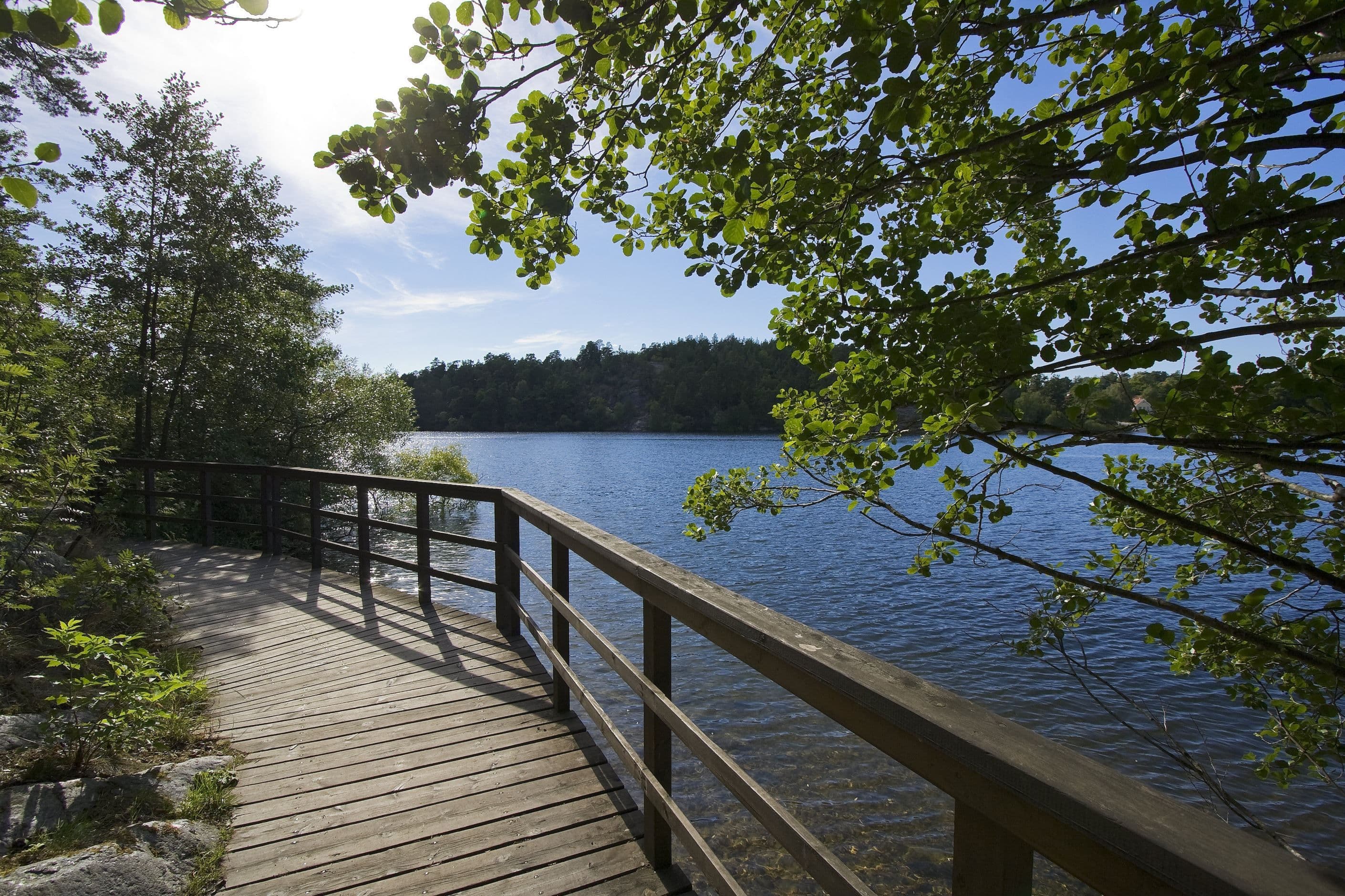 Promenadstråk