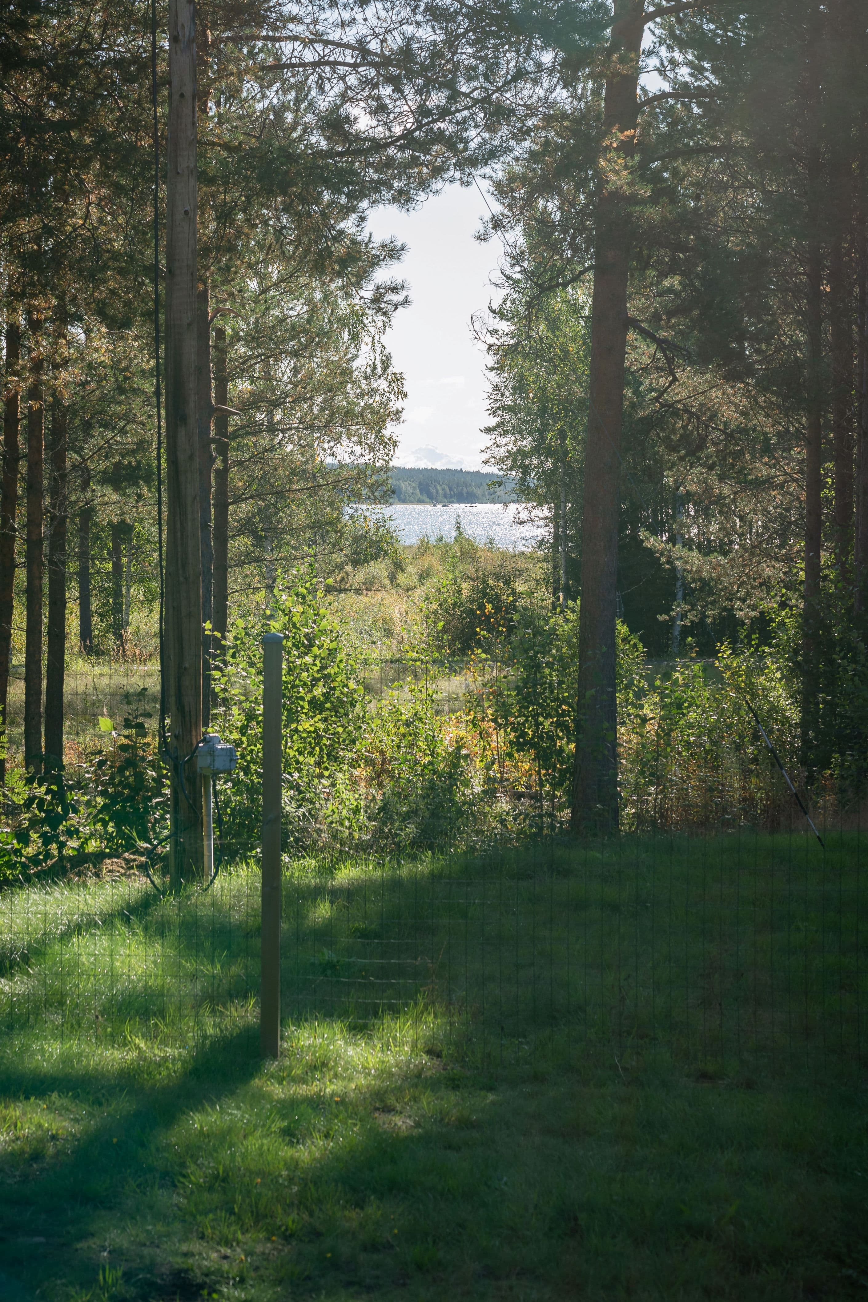 Vy mot vattnet från tomten