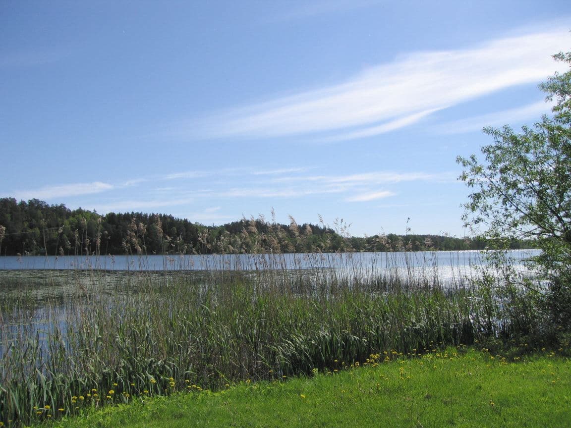 Rönningesjön sommar 1