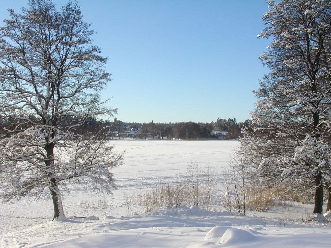 Rönningsjön vinter