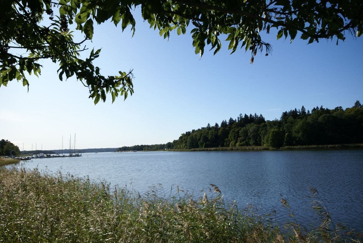 Näsbyviken