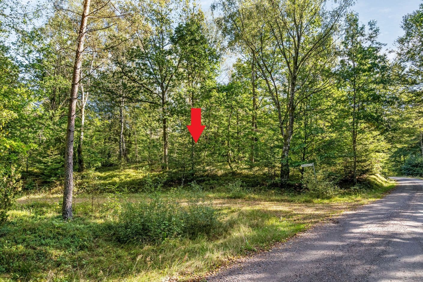 Bäverspåret 2