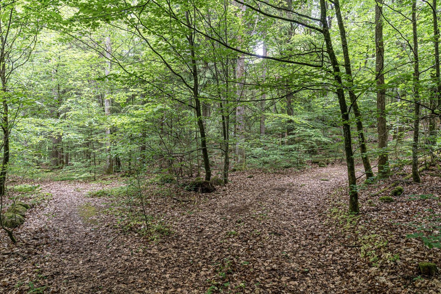 Tormestorp
