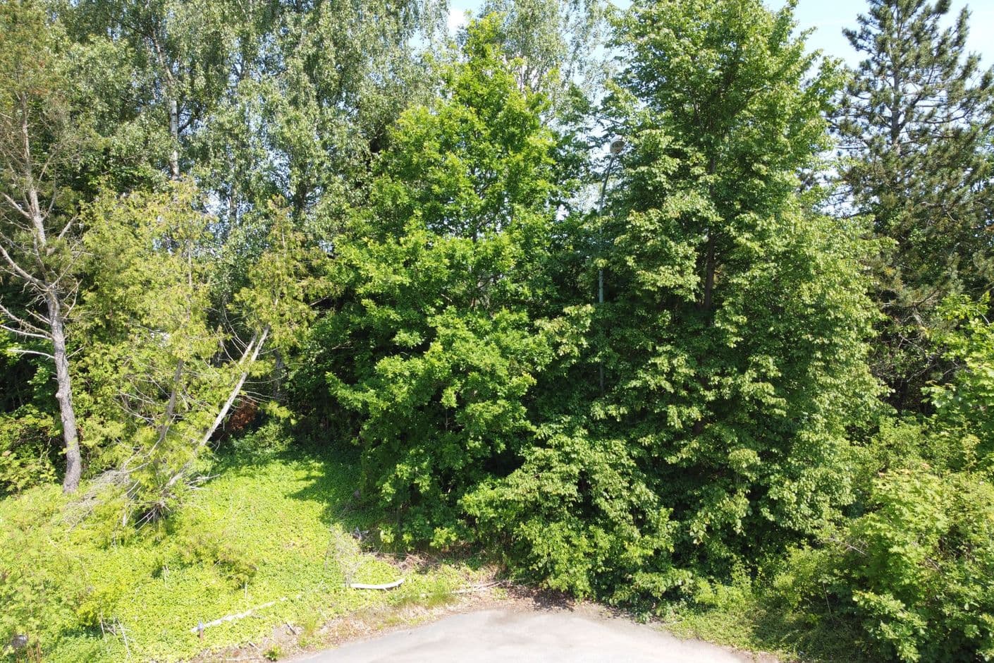 Enstigen 5