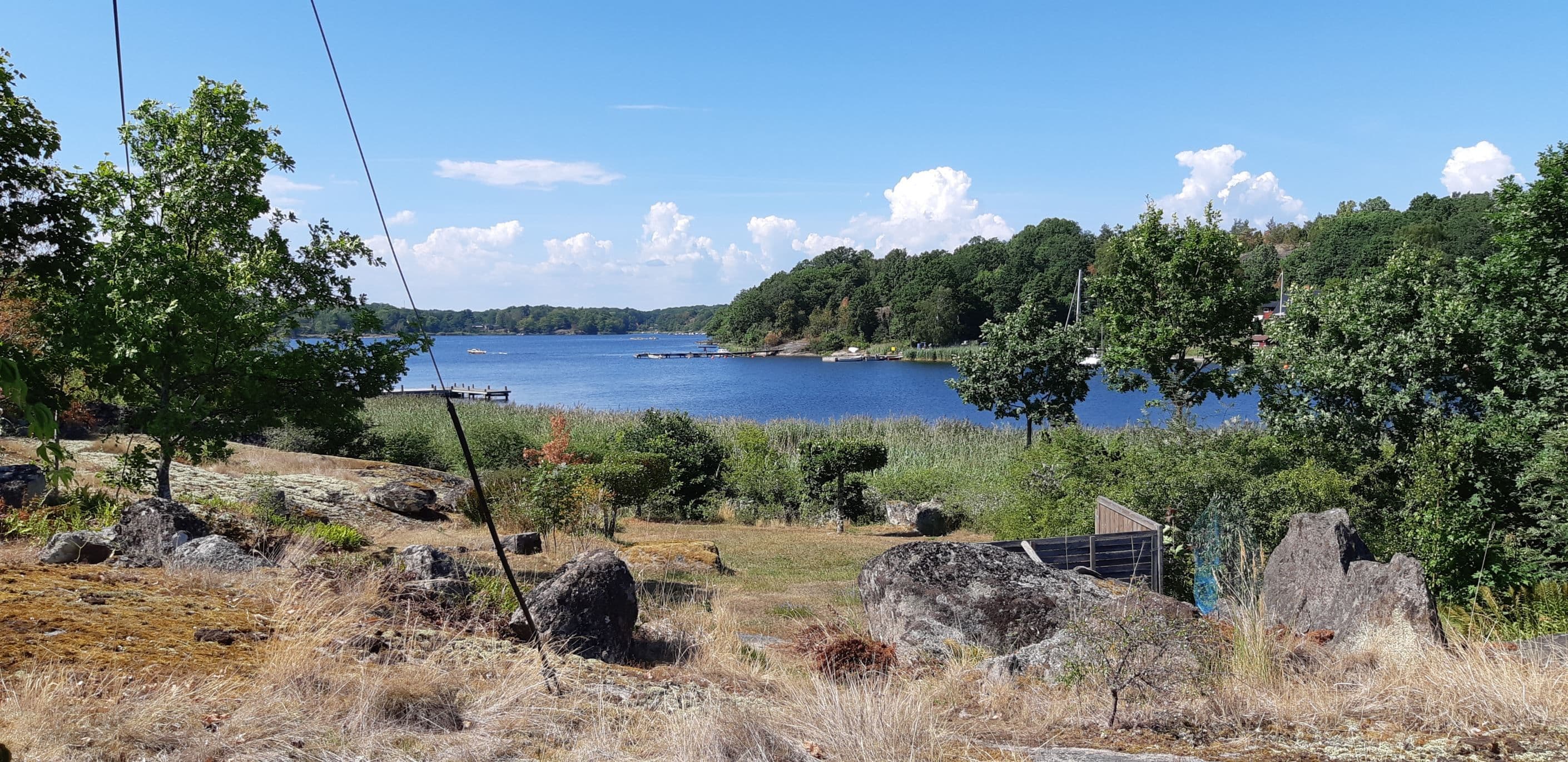 Säljarens bild