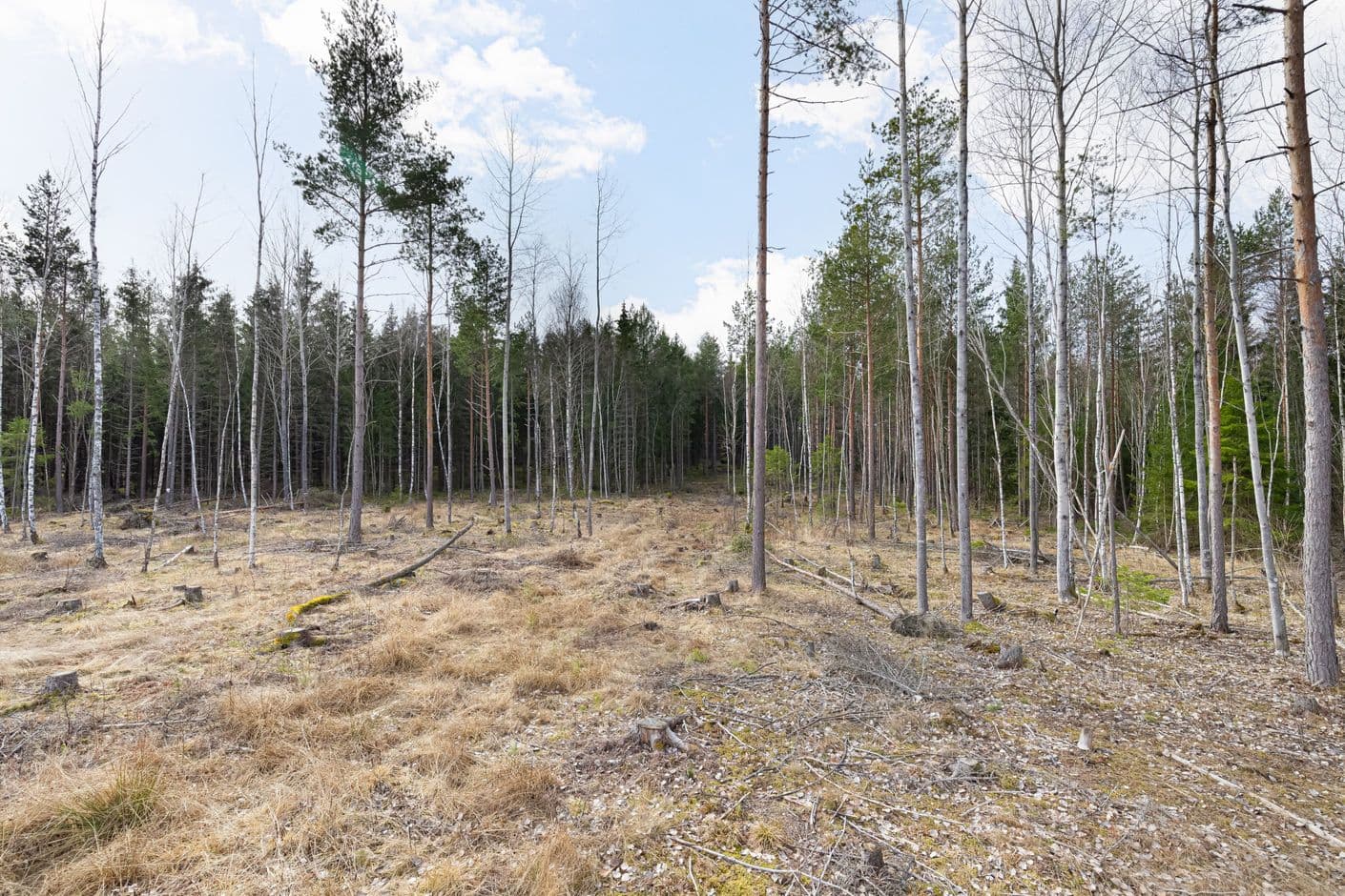 Norrskogsbacken 3
