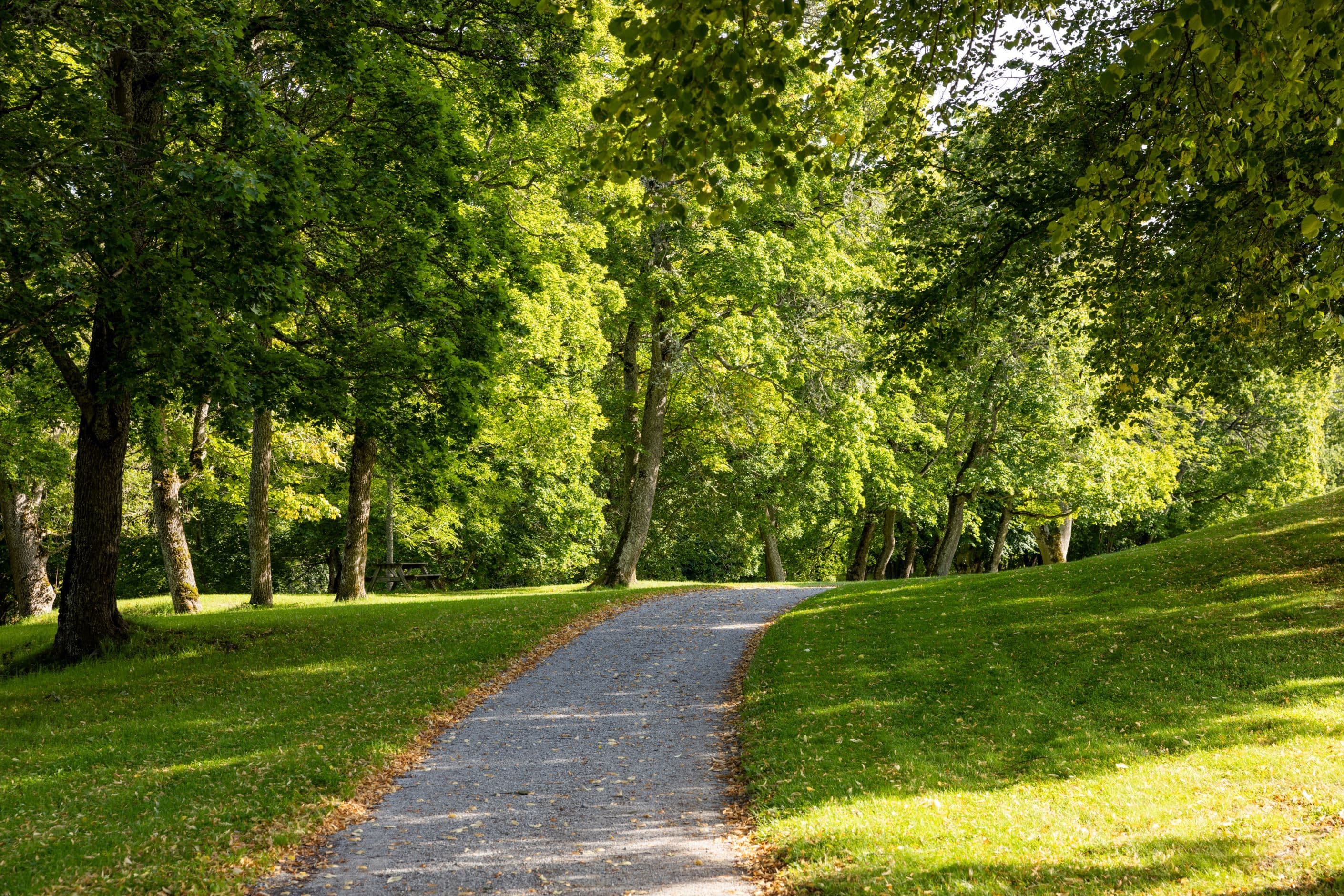 Fina promenadstråk