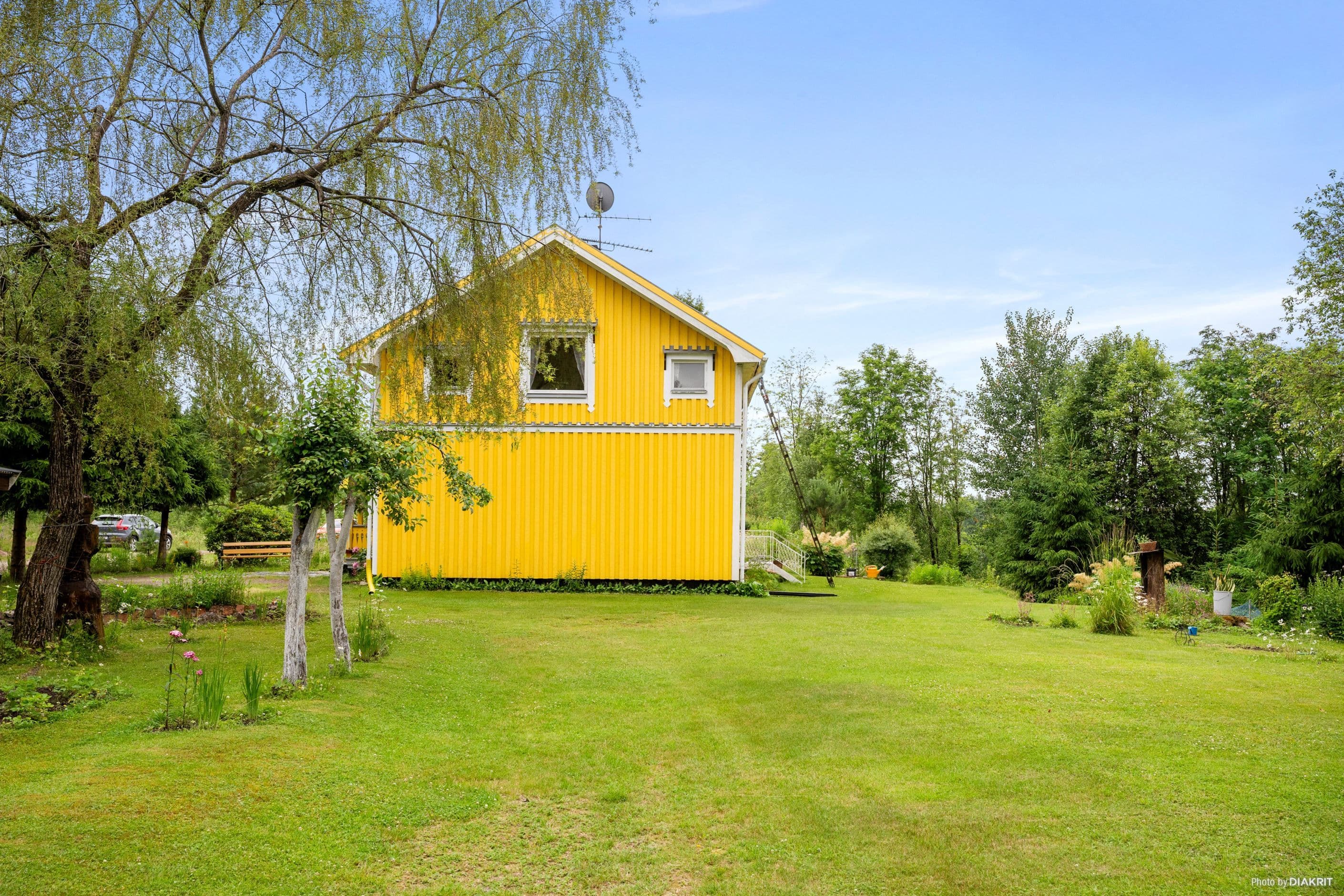 Trädgård