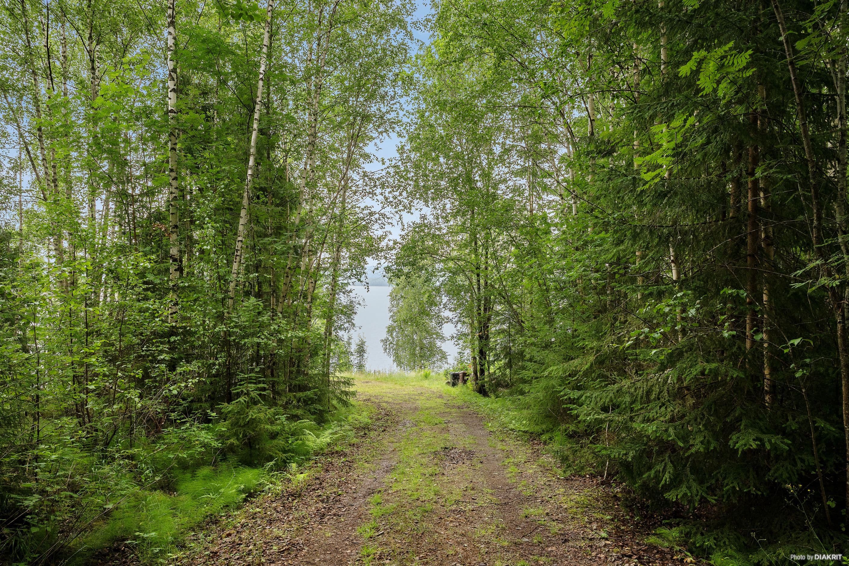 Nedfart till stugan
