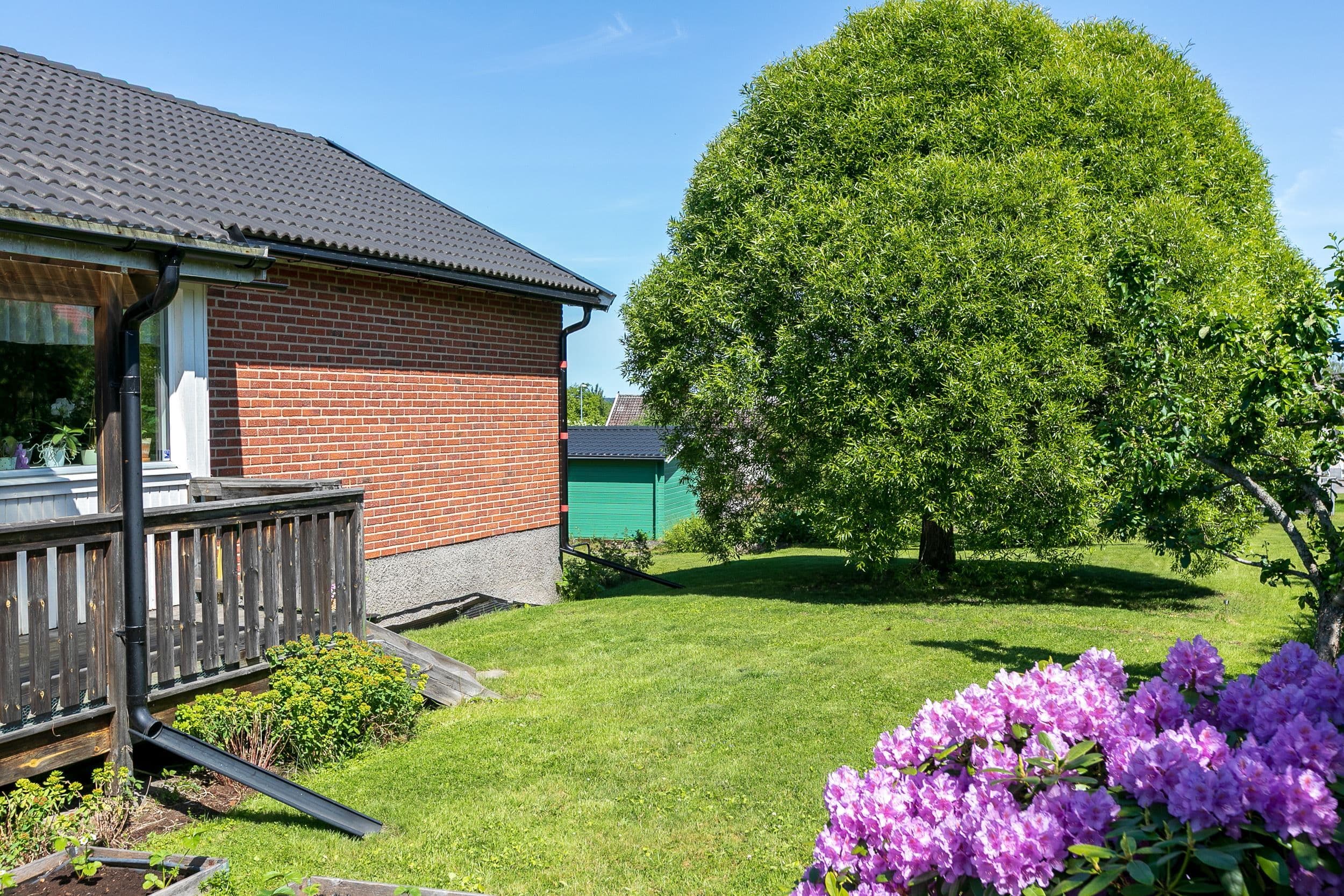 Trädgård, baksida