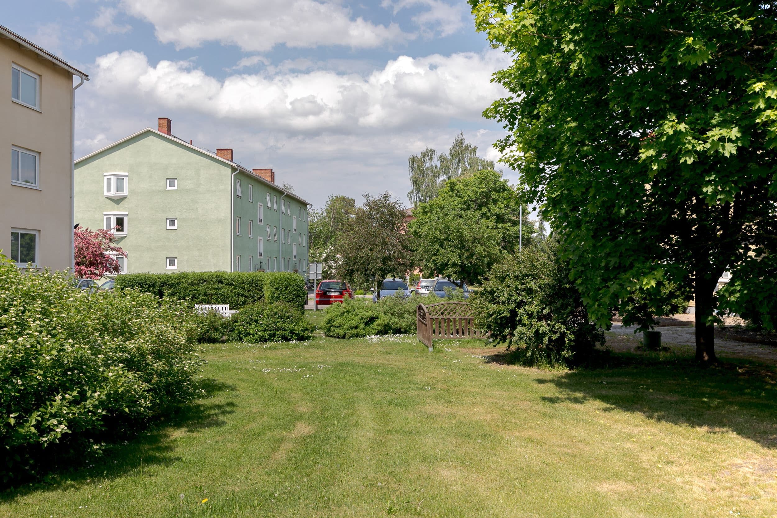 Föreningens trädgård
