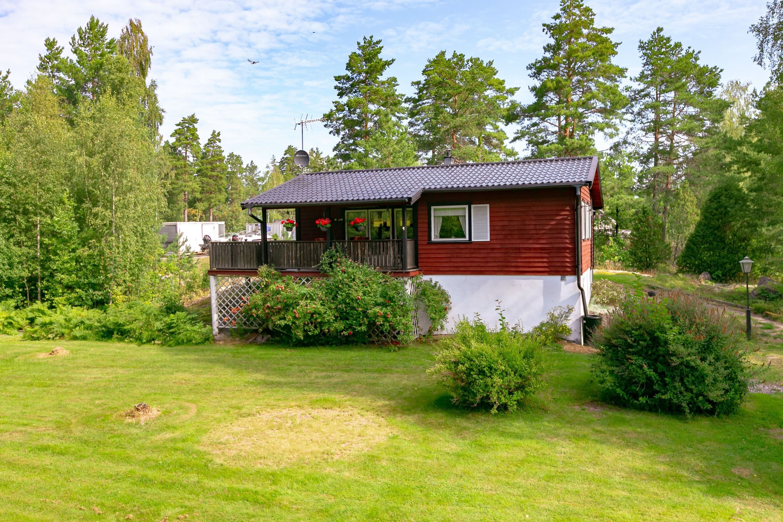 Härlig trädgård