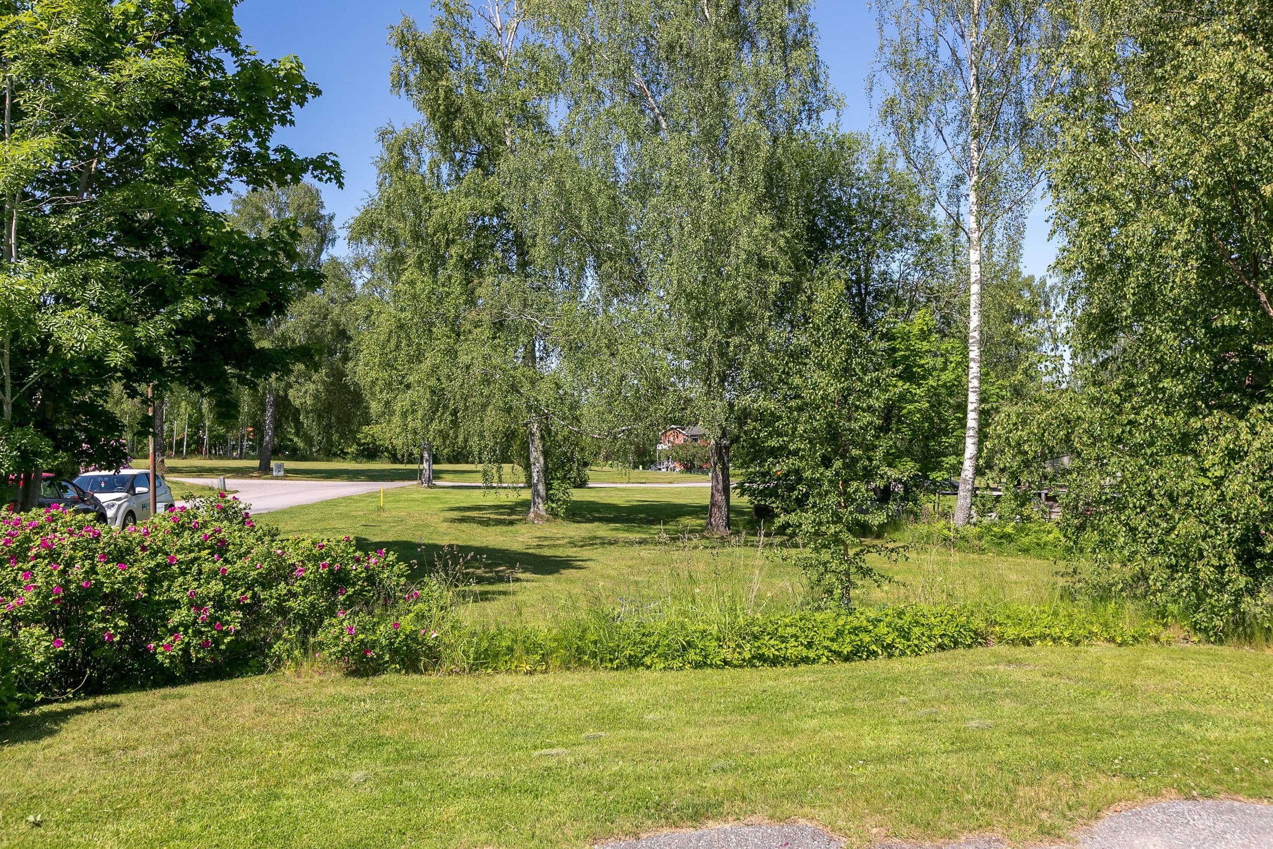 Allmänning, framsida