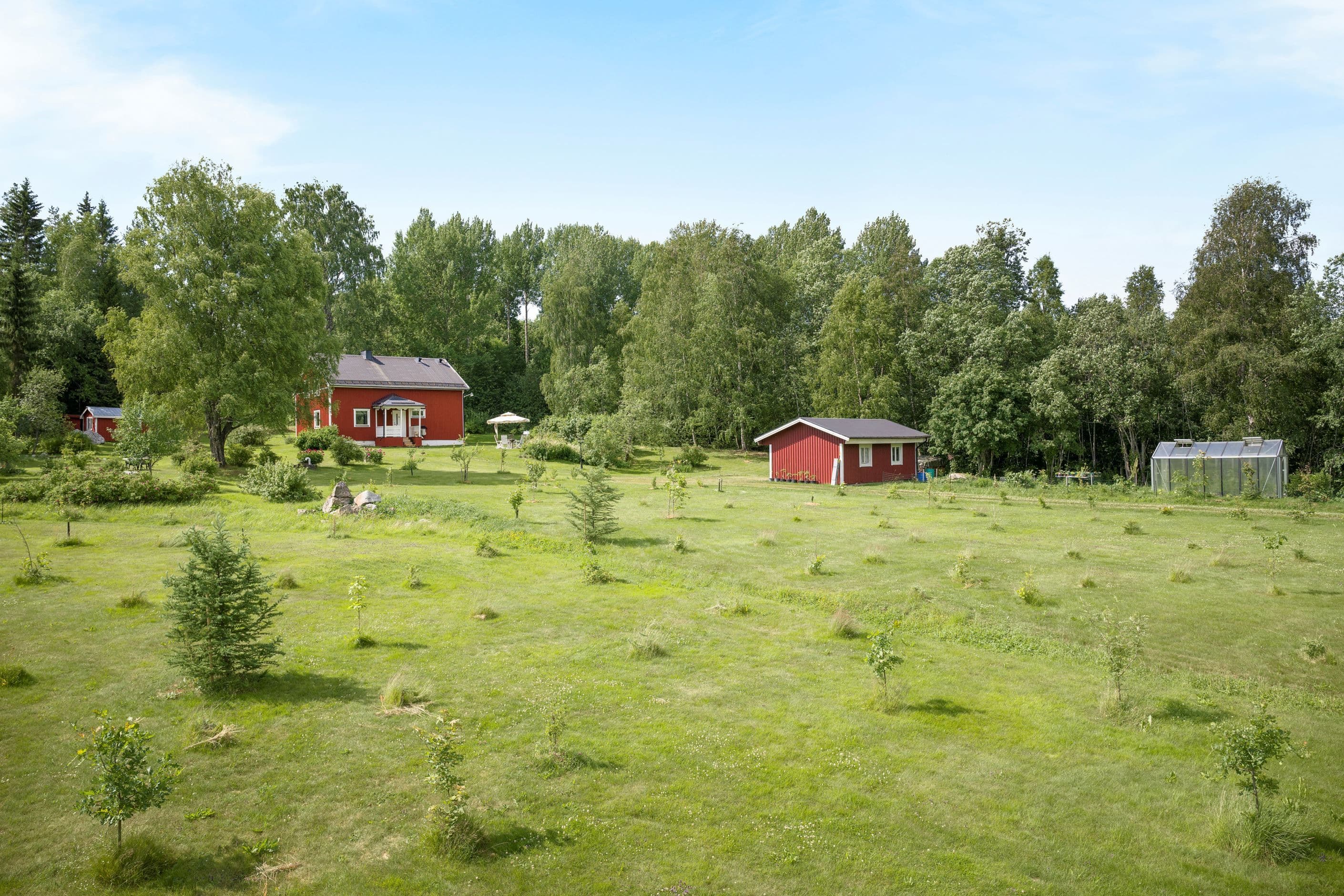 Gålviken med trädplanteringen