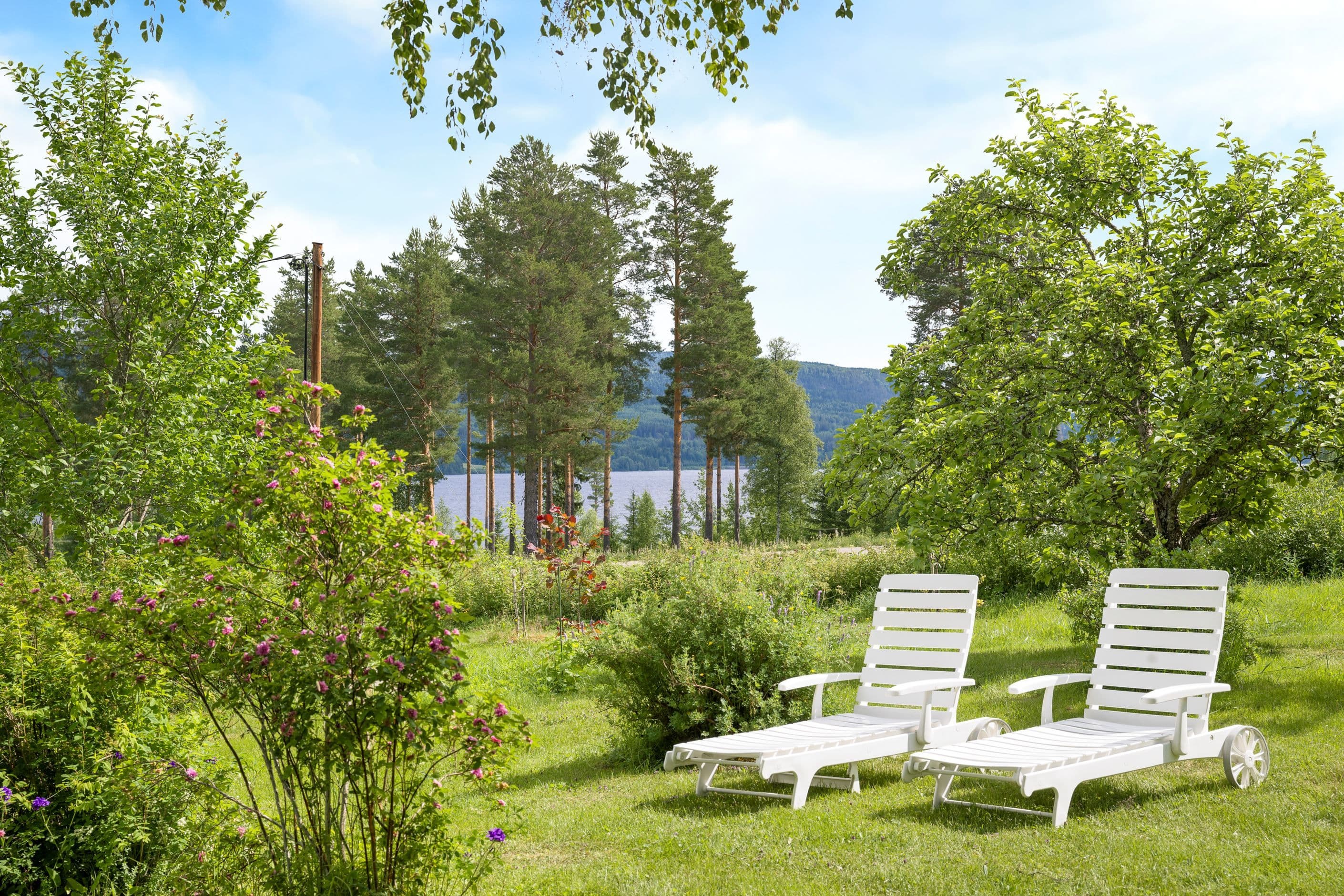 Trädgården