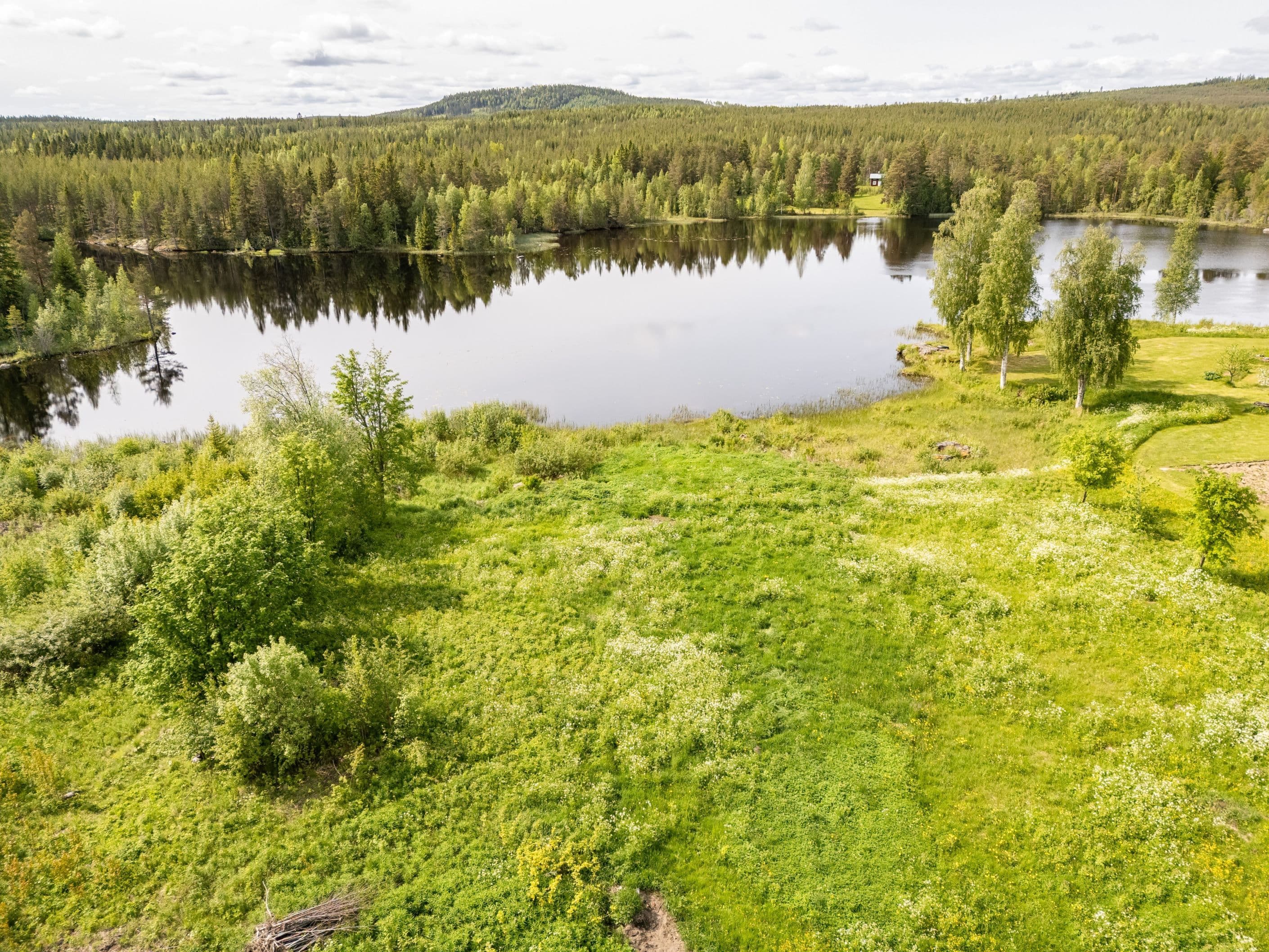 Välkommen till Turingen 2:80